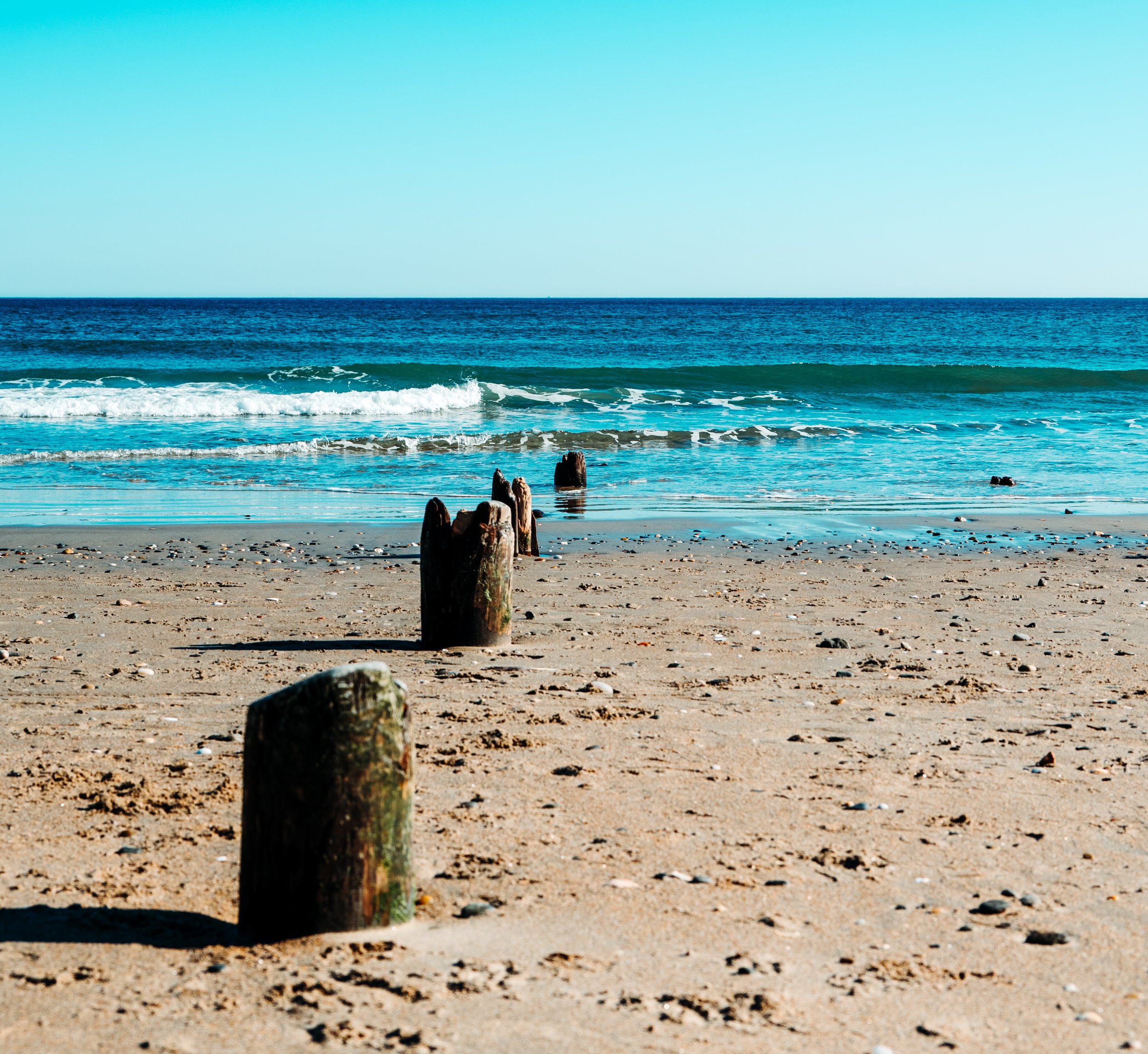 DSC_1715.jpg