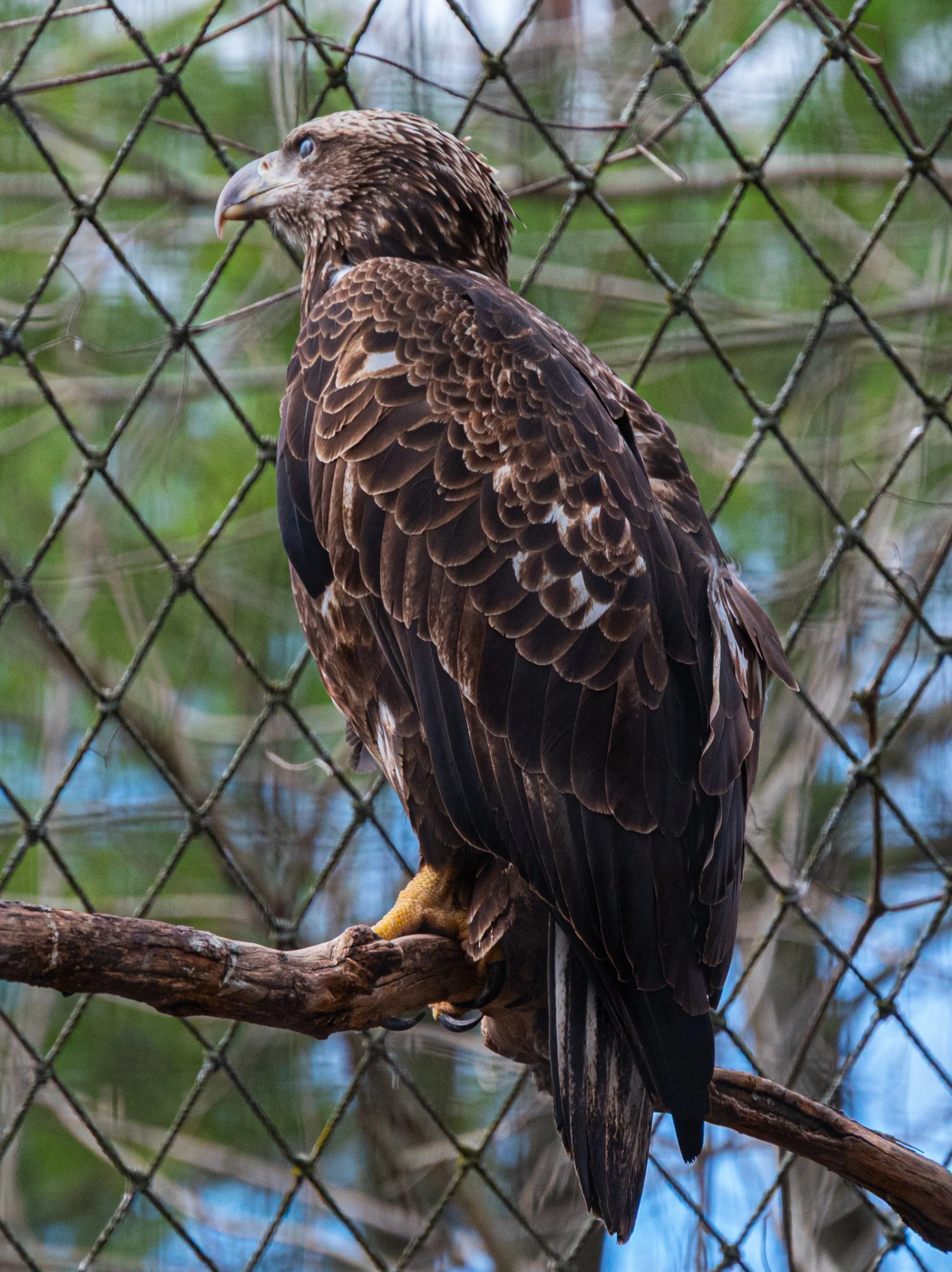 DSC_3620.jpg