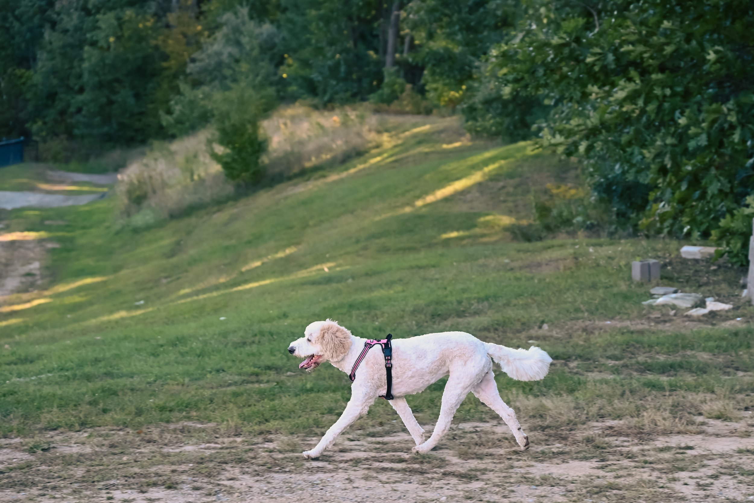 DSC_0193.jpg