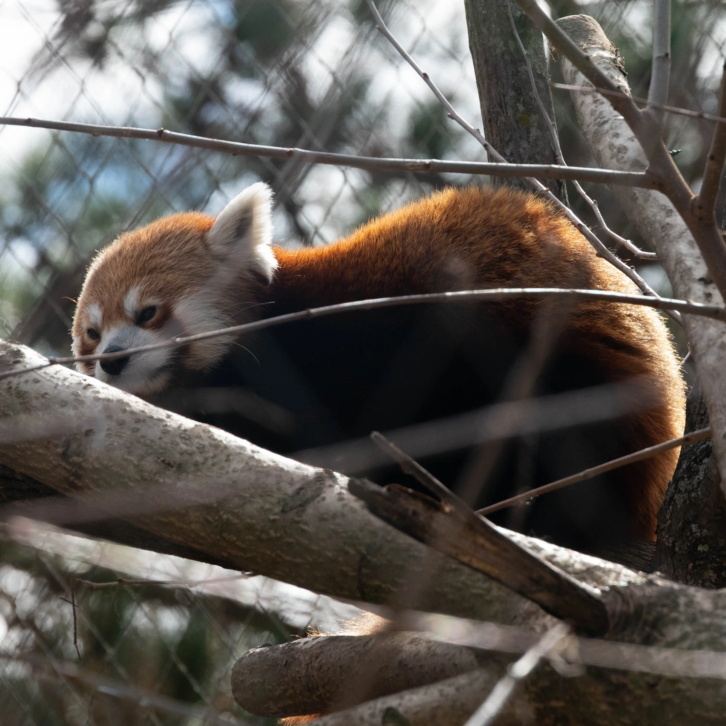 DSC_6184.jpg