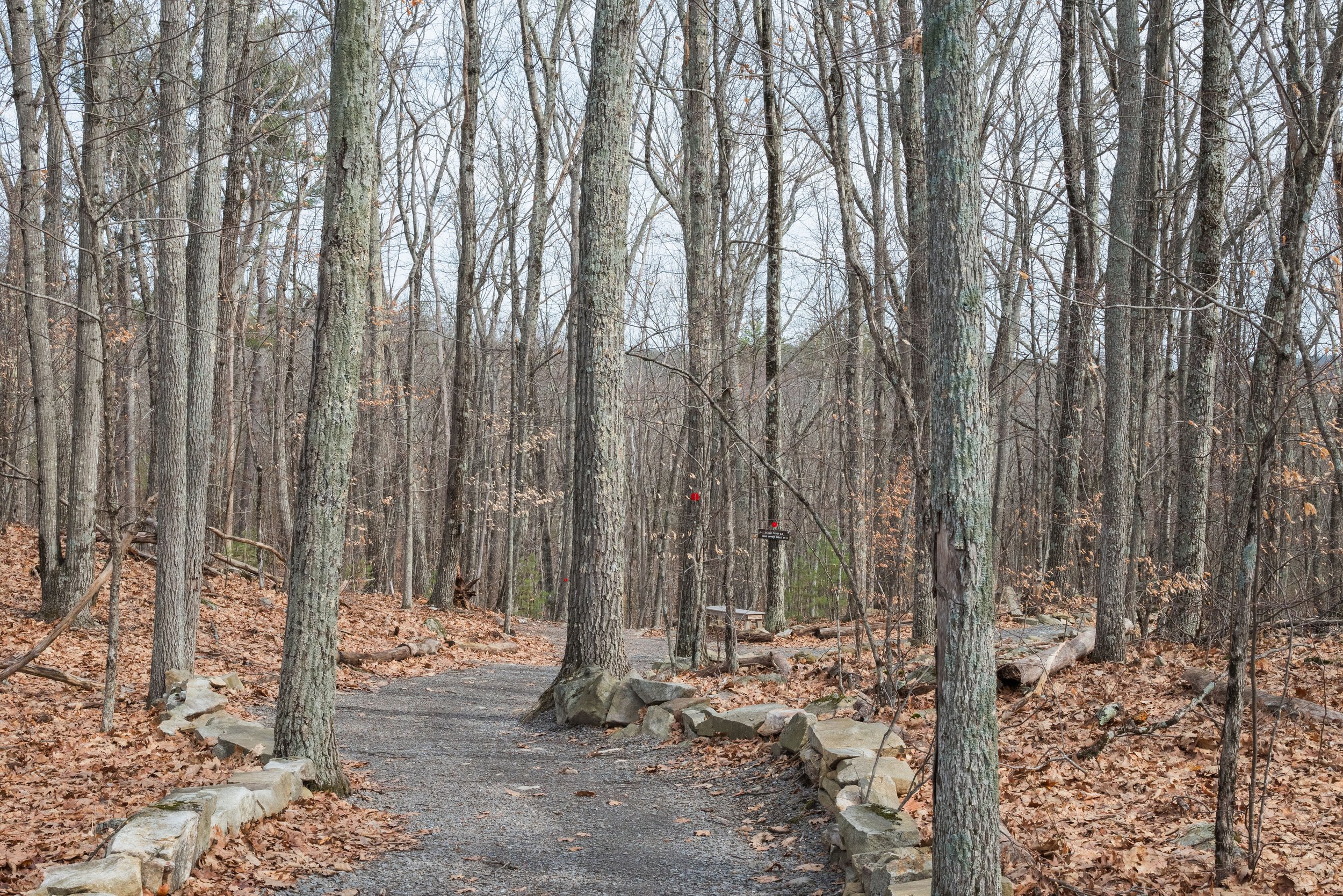 DSC_4585.jpg