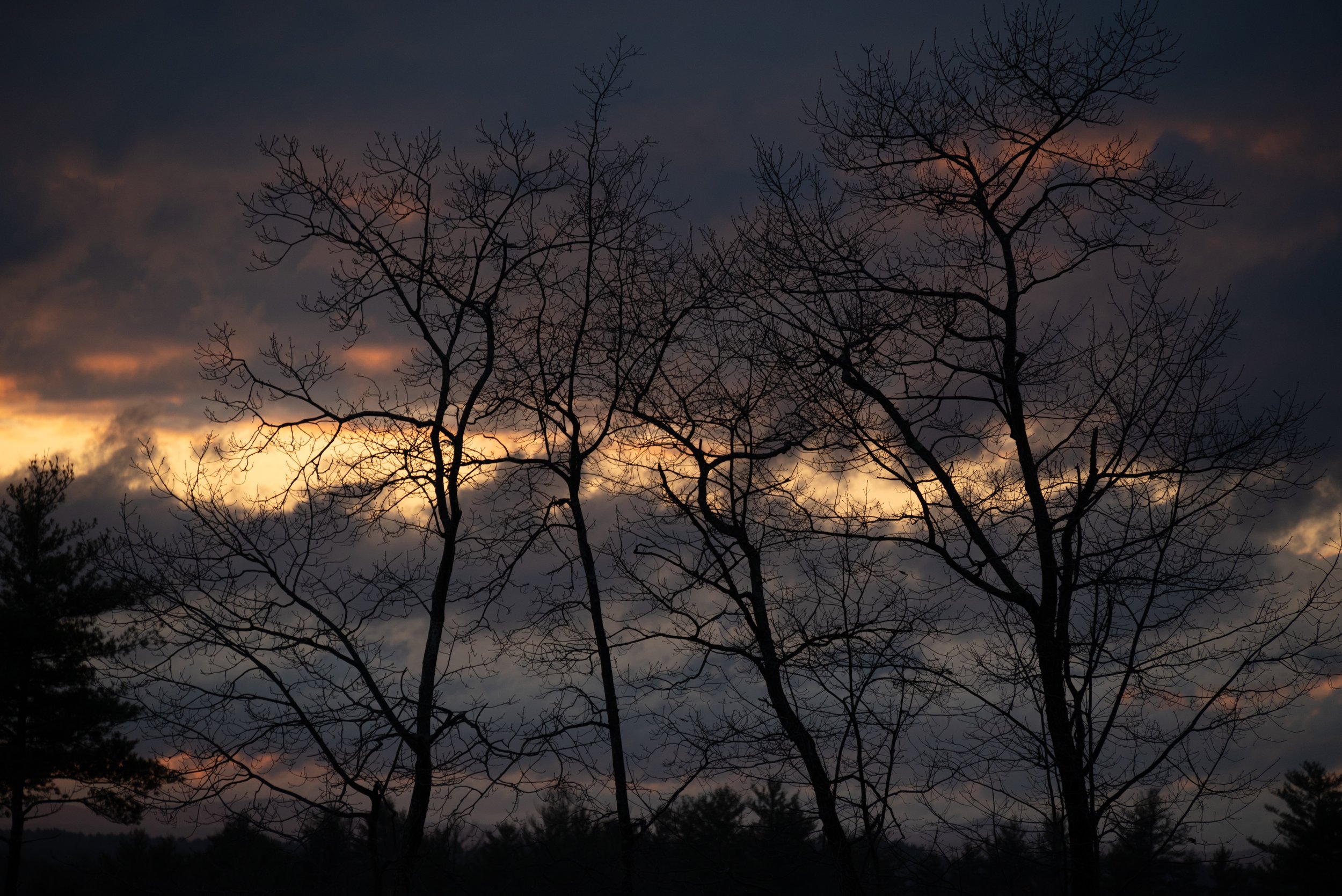 12_DSC_2799.jpg
