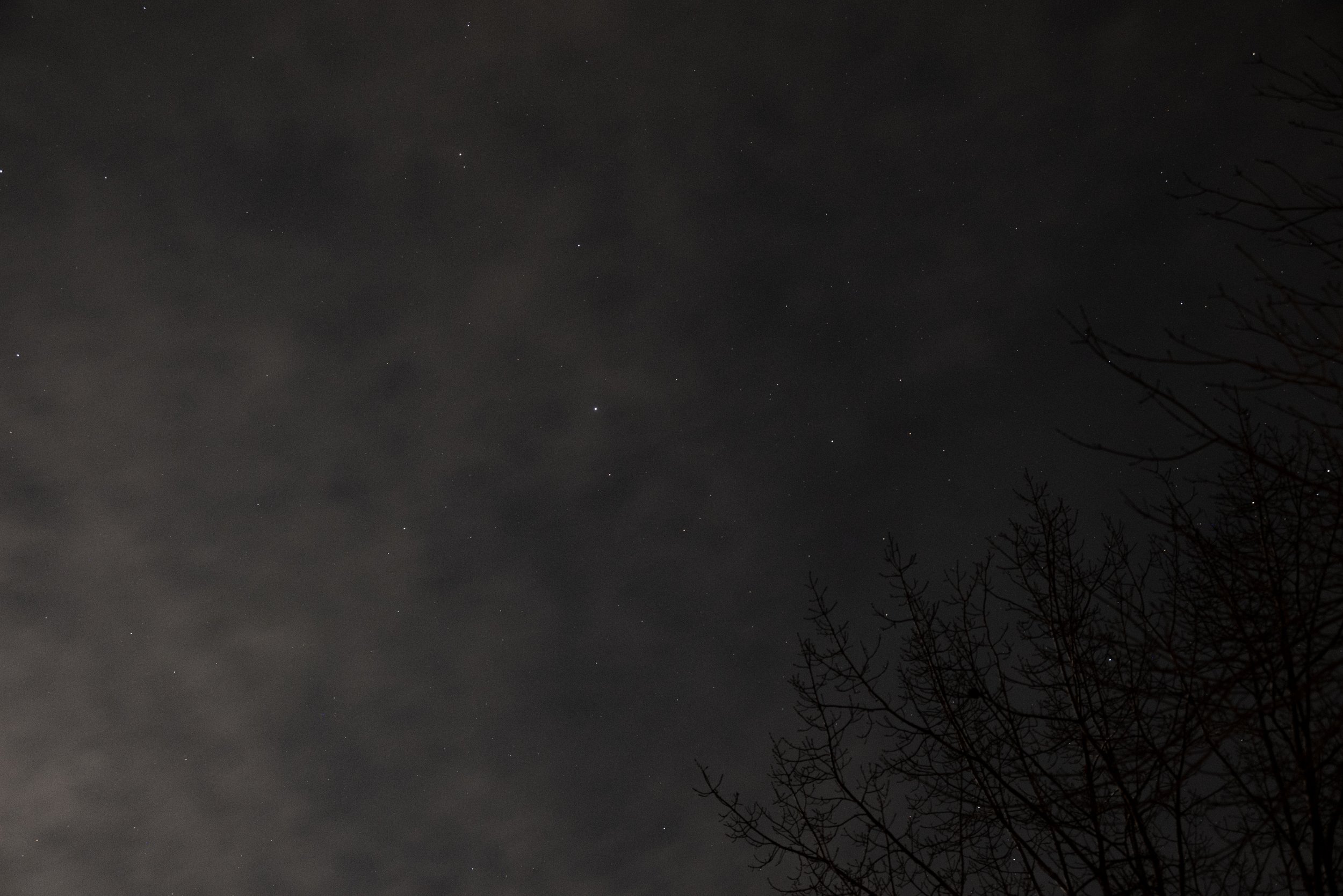 11_DSC_3329.jpg