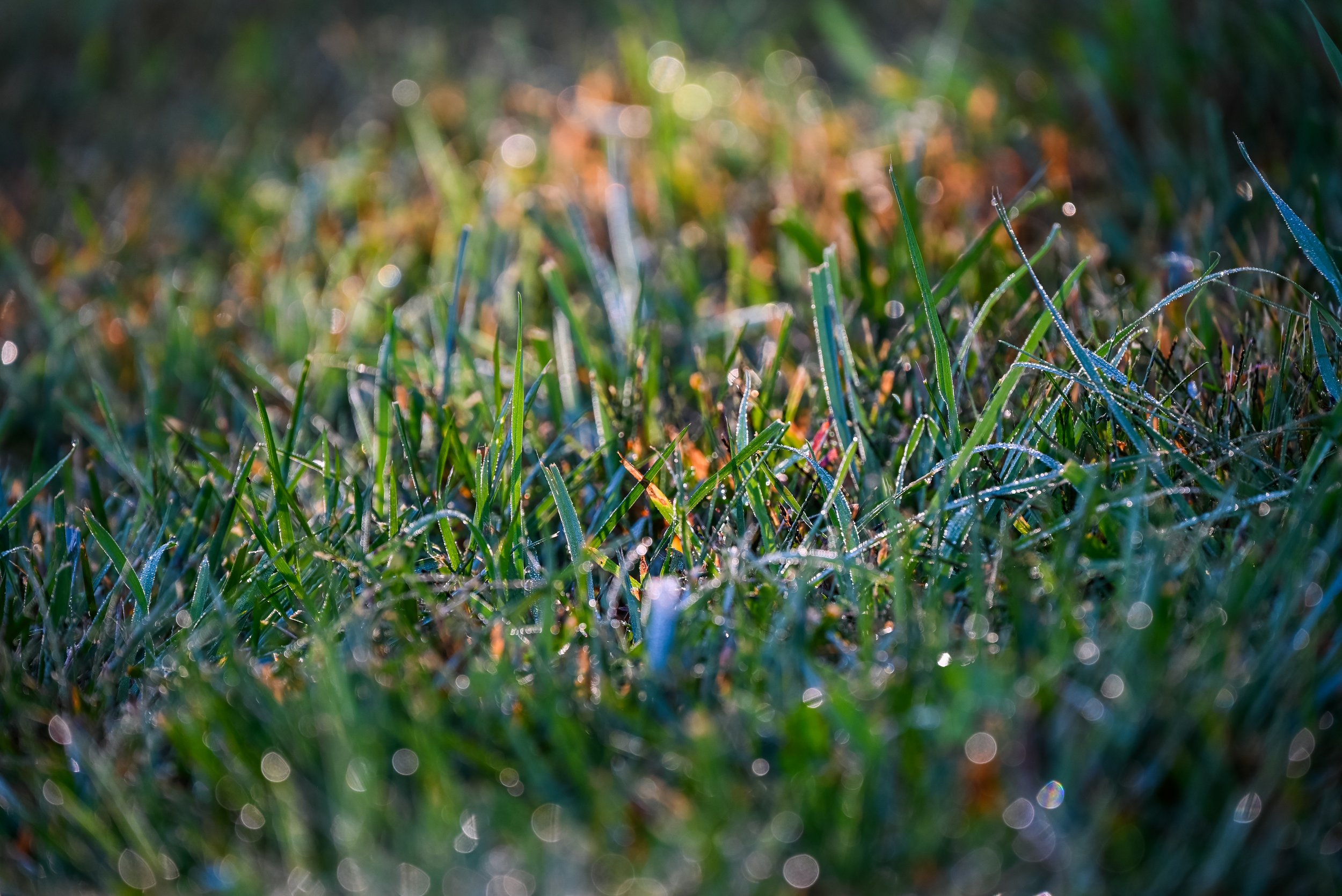 9_DSC_0157.jpg