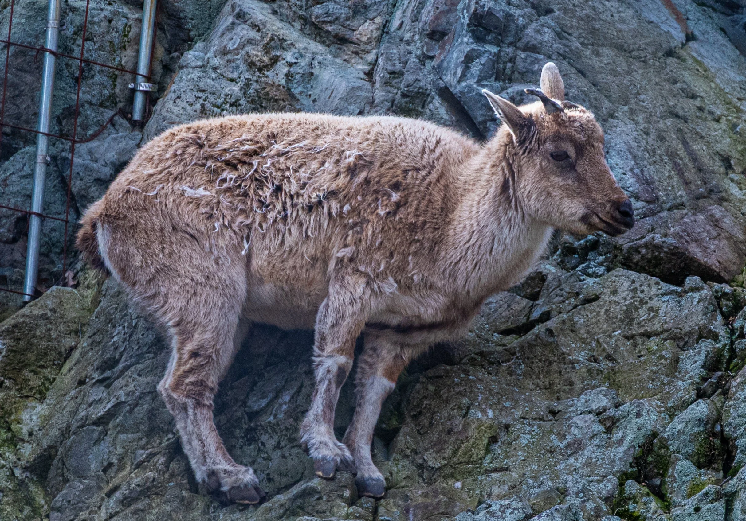 DSC_3625.jpg
