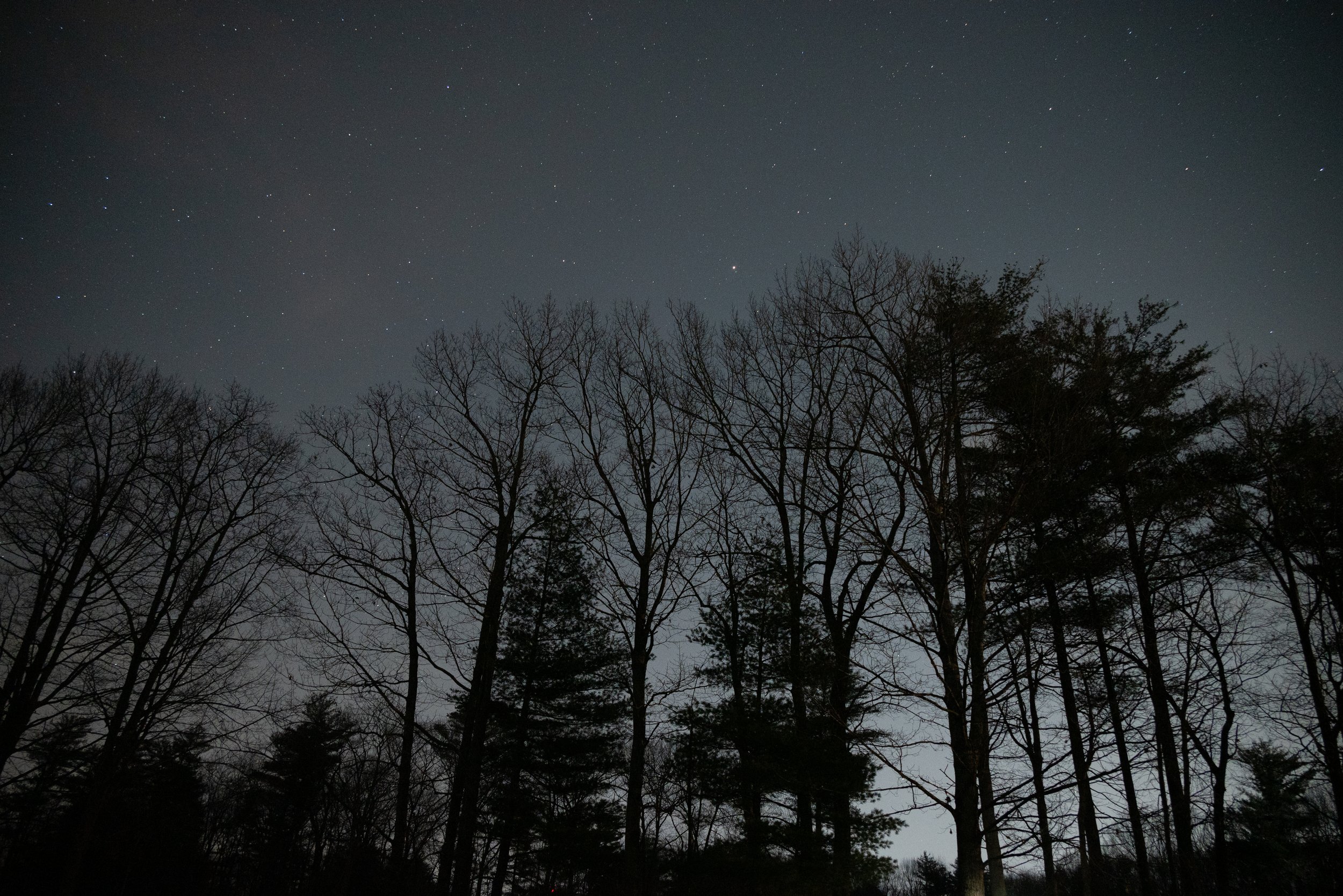 6_DSC_2749.jpg