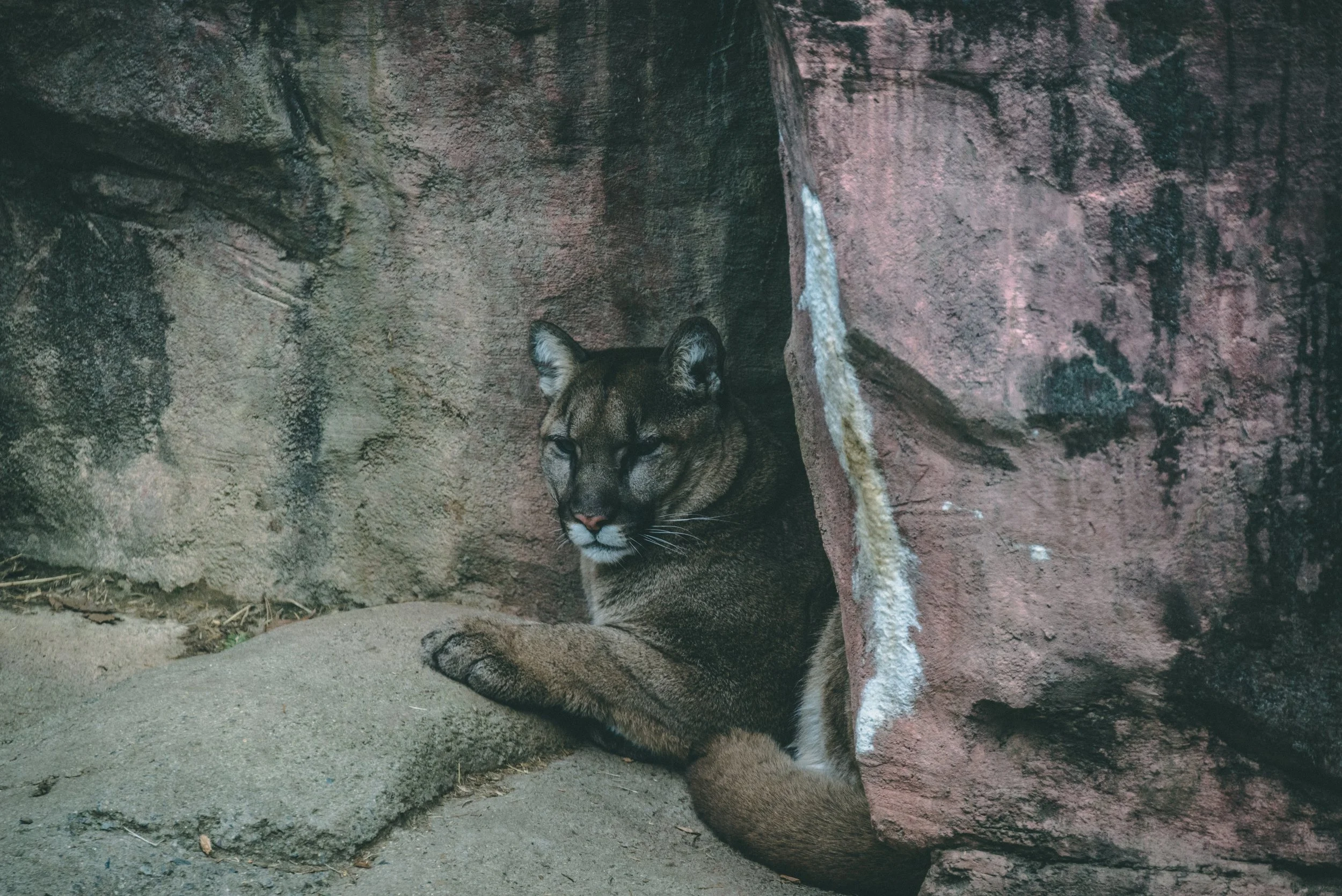 DSC_3621.jpg