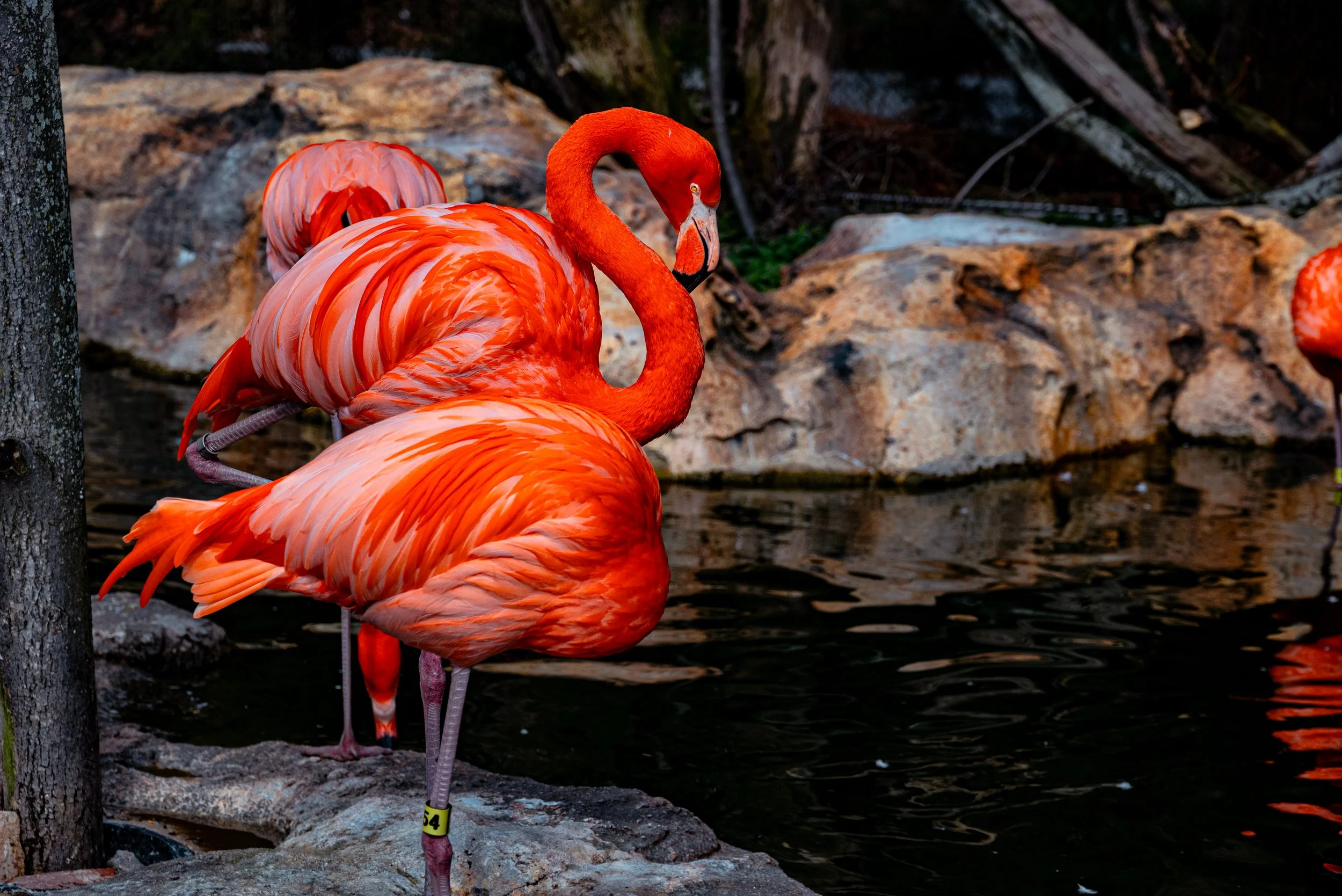 DSC_0532-3.jpg