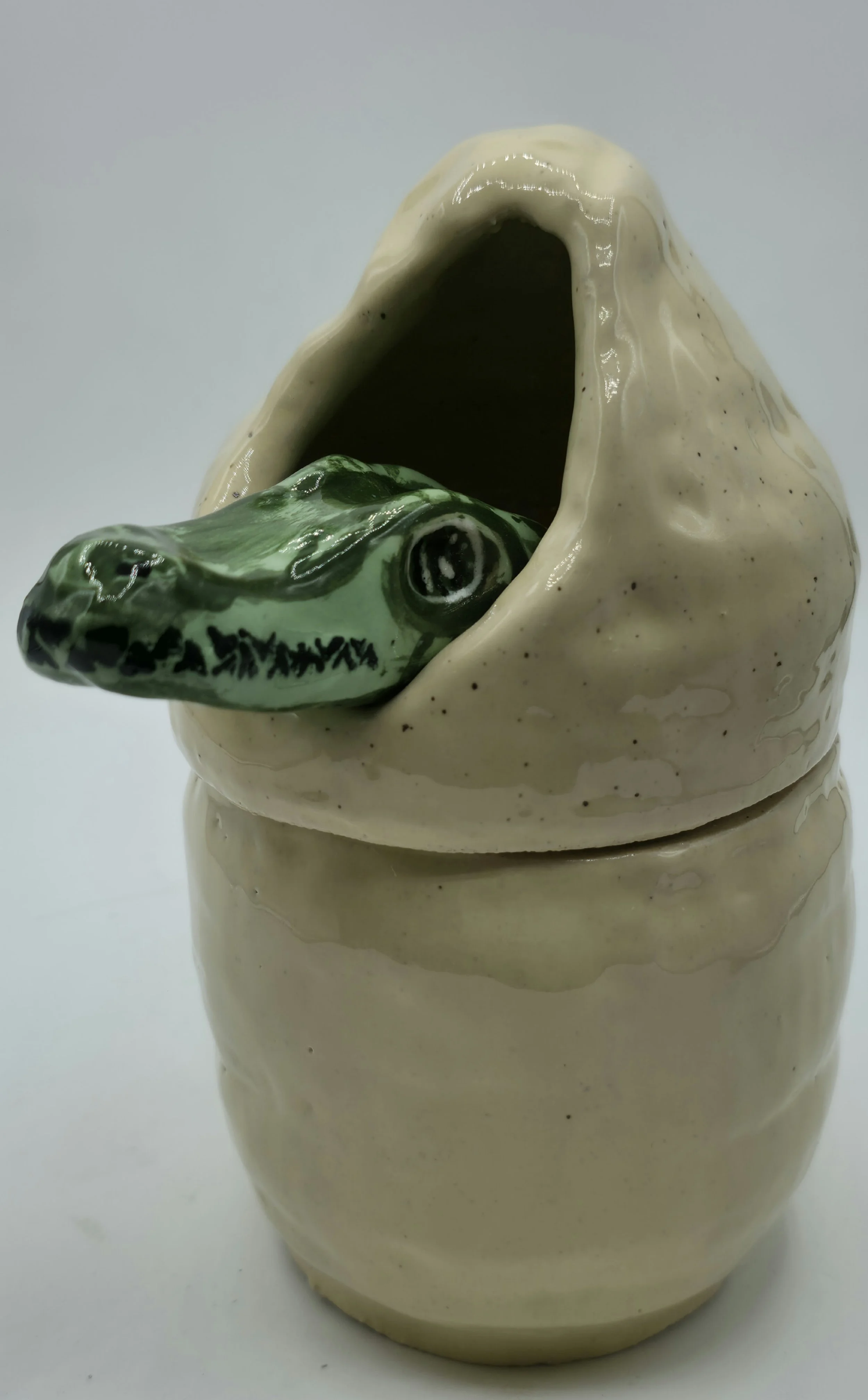 Crocodile