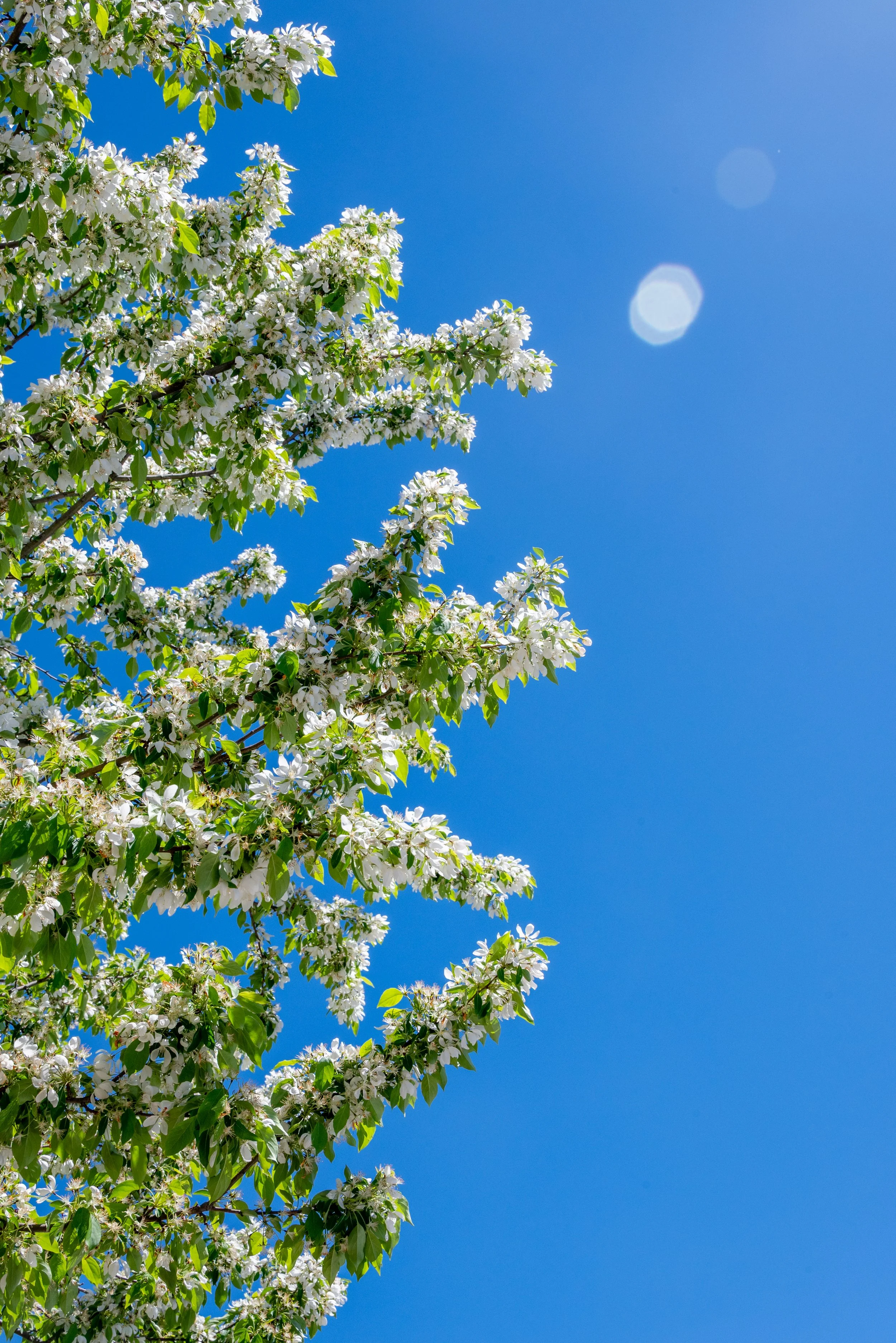 Nature 6.jpg