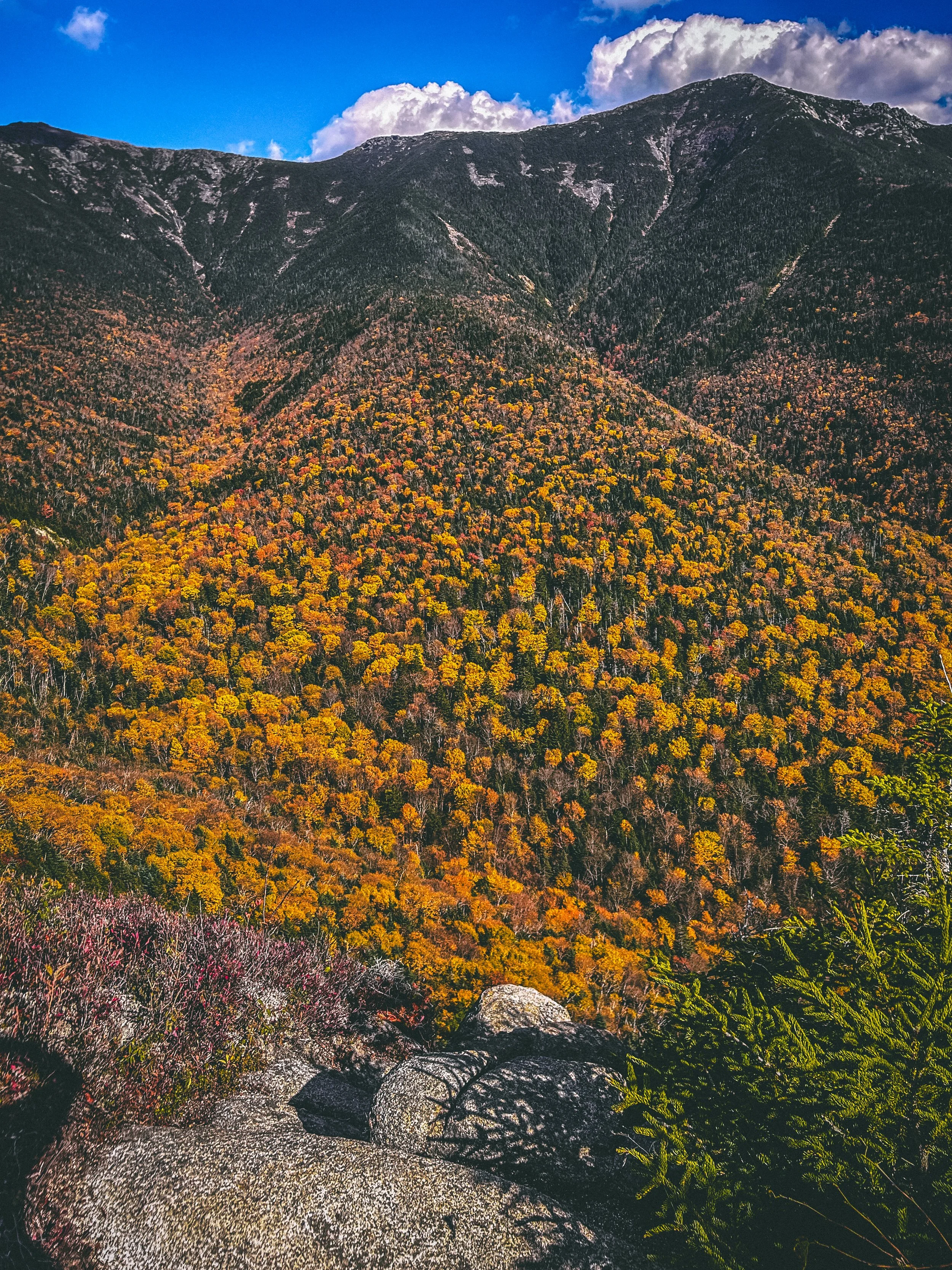 Alex Koulichkov Enviornment