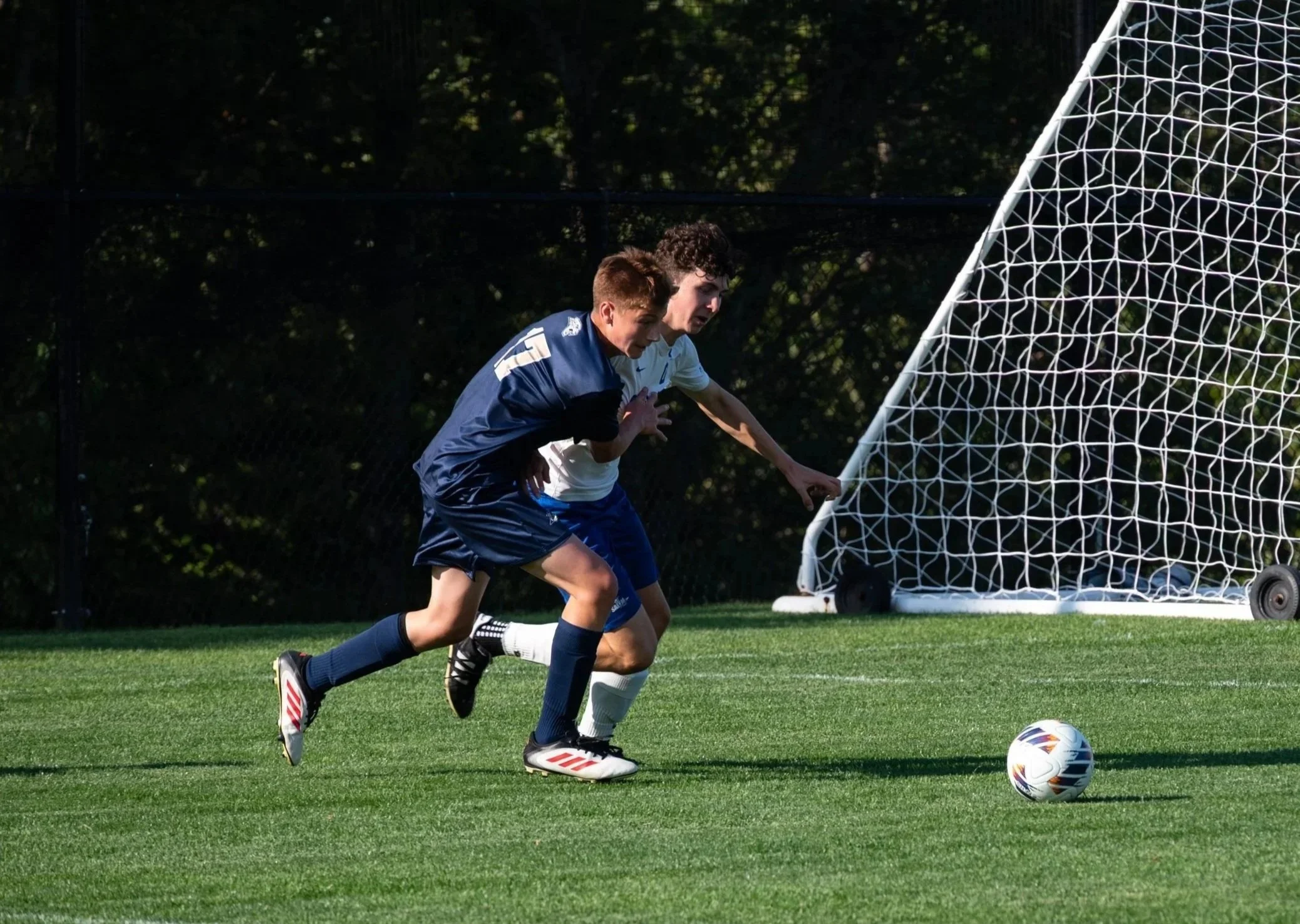 Lauren Zachas Sports