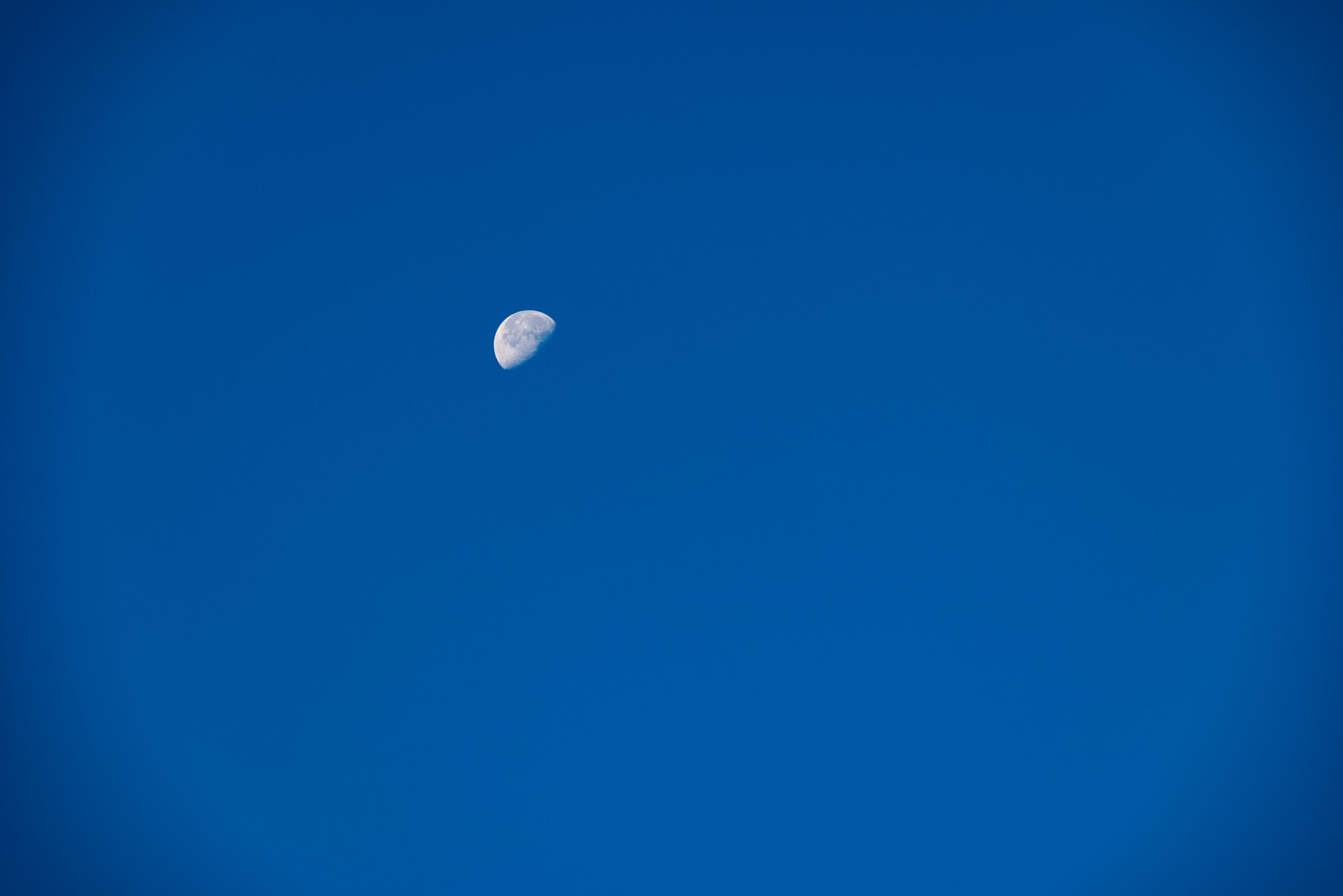 1 DSC_0990.jpg