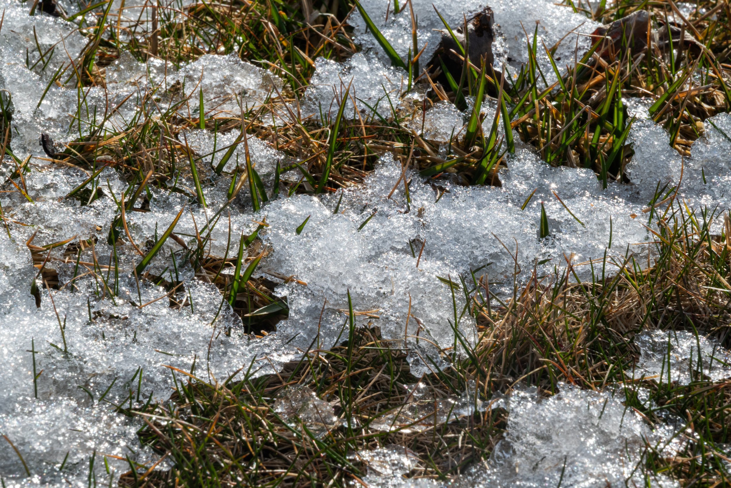 10_DSC_3138.jpg
