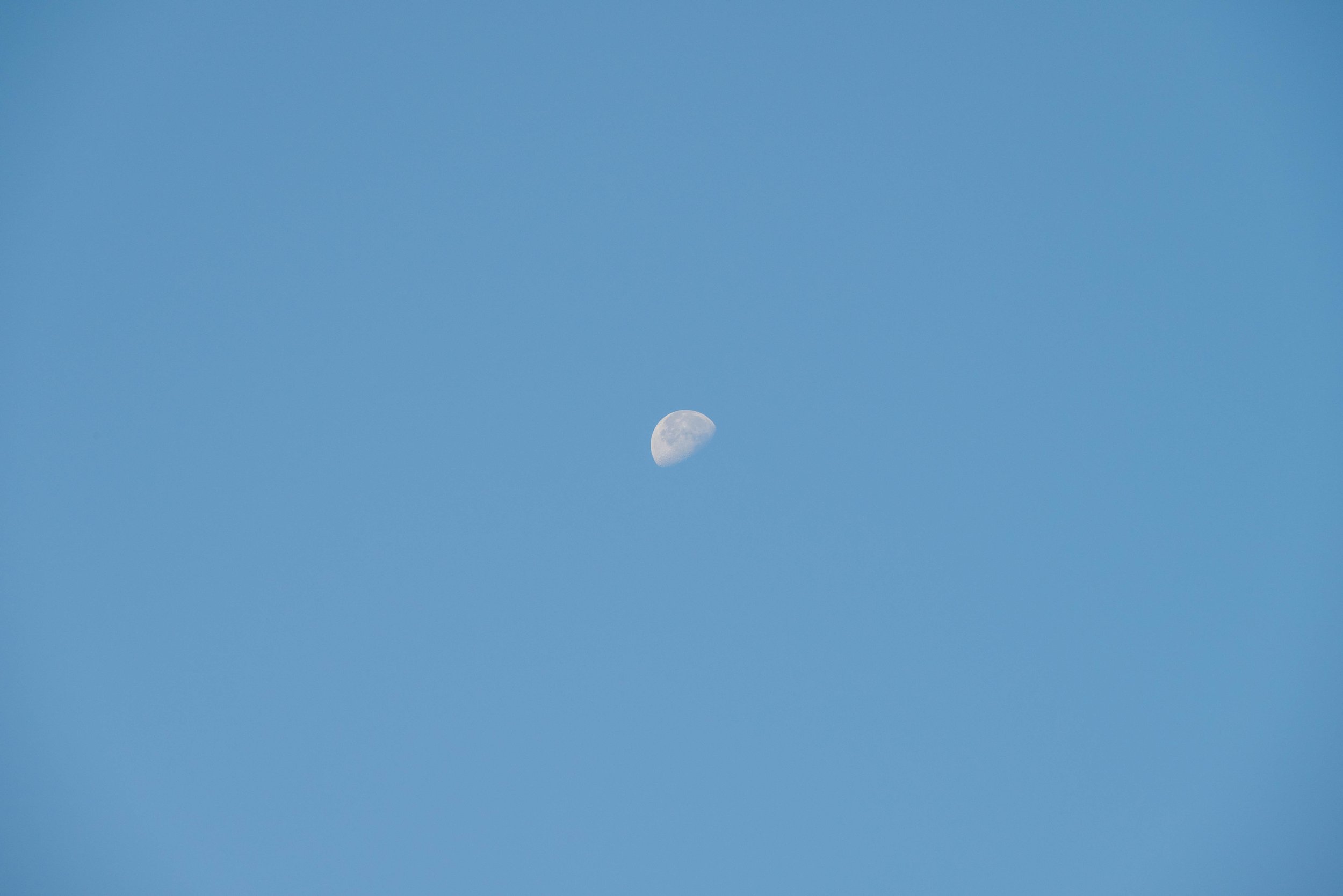 5-DSC_0869.jpg