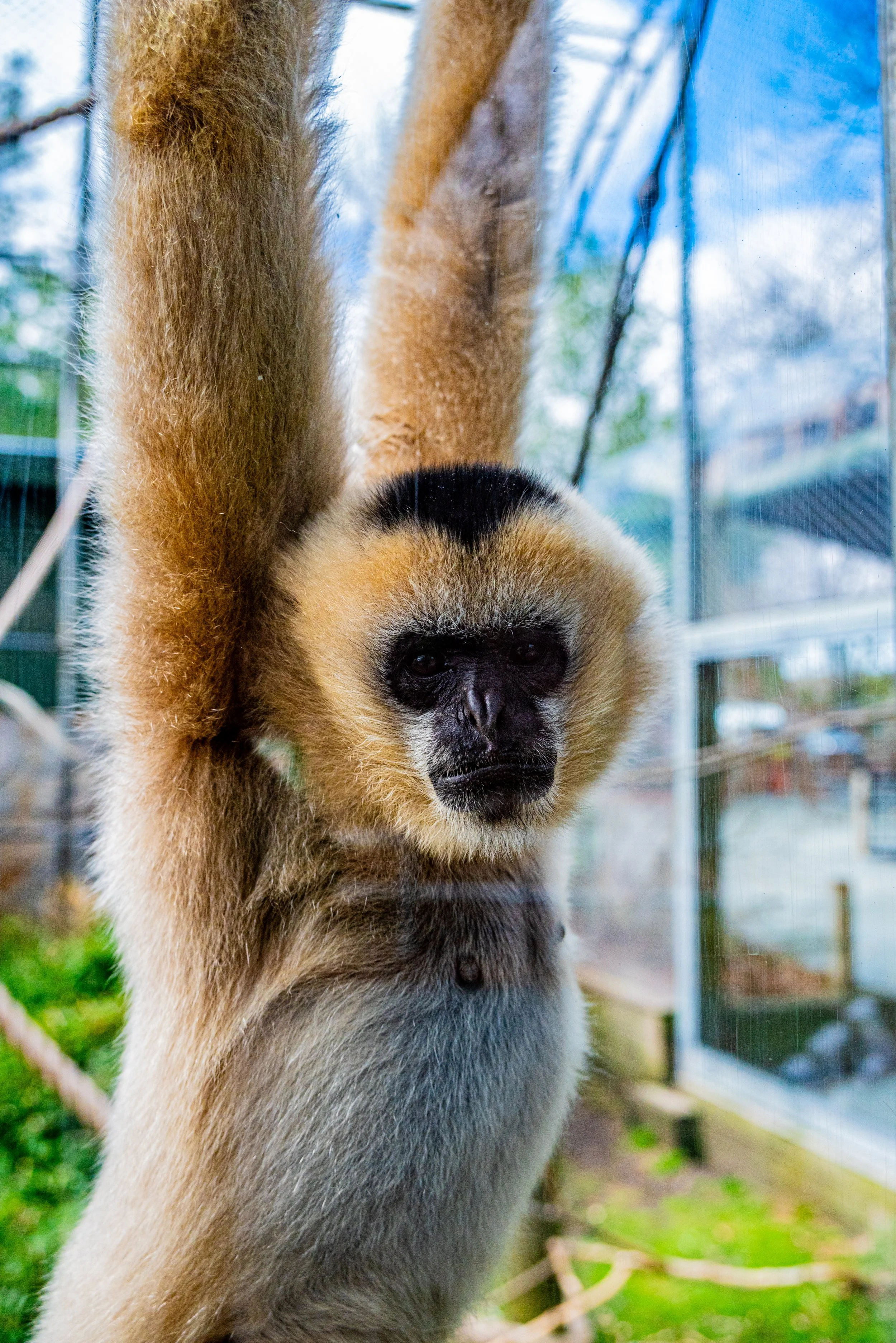 zoo 13.jpg