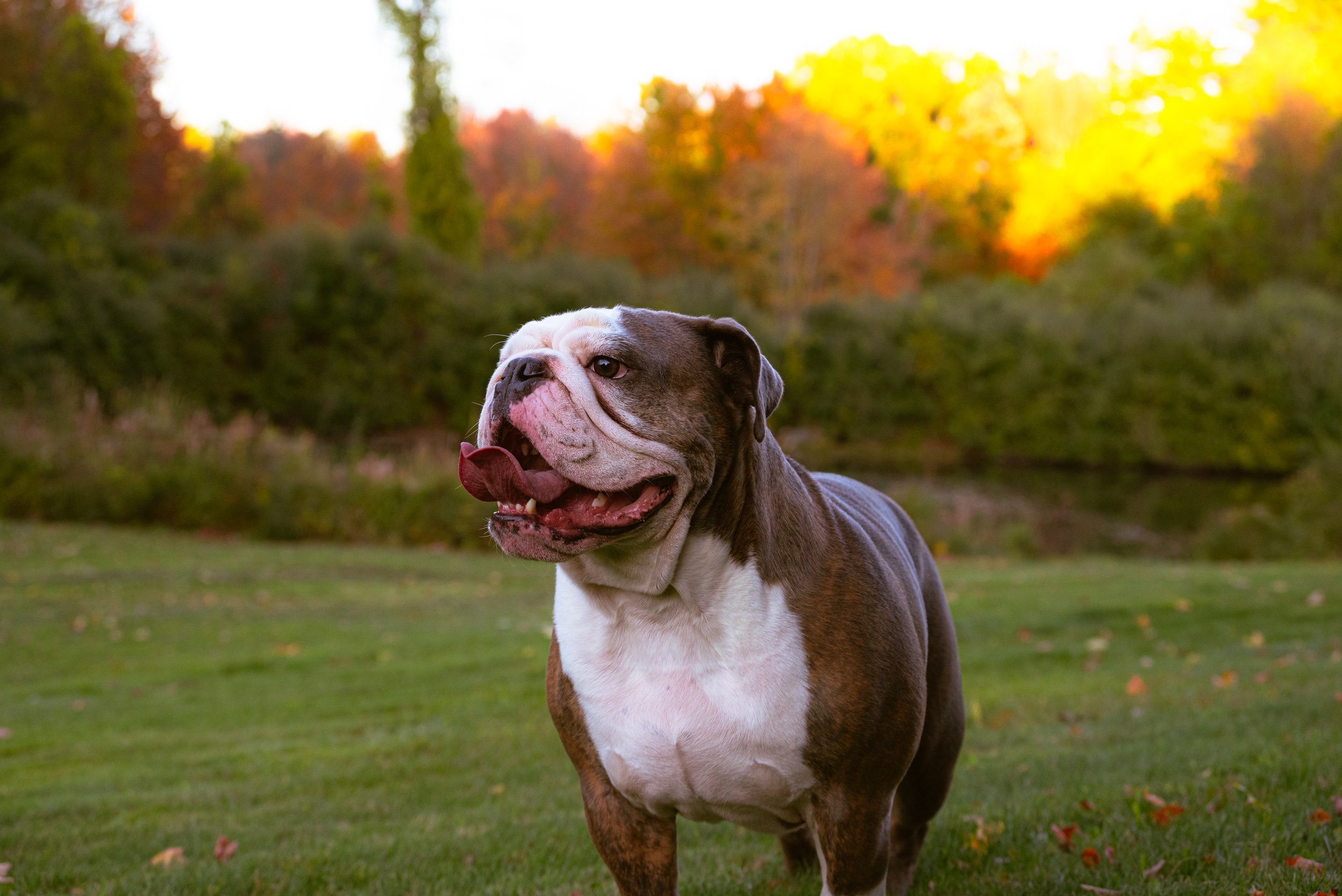 DSC_4108.jpg