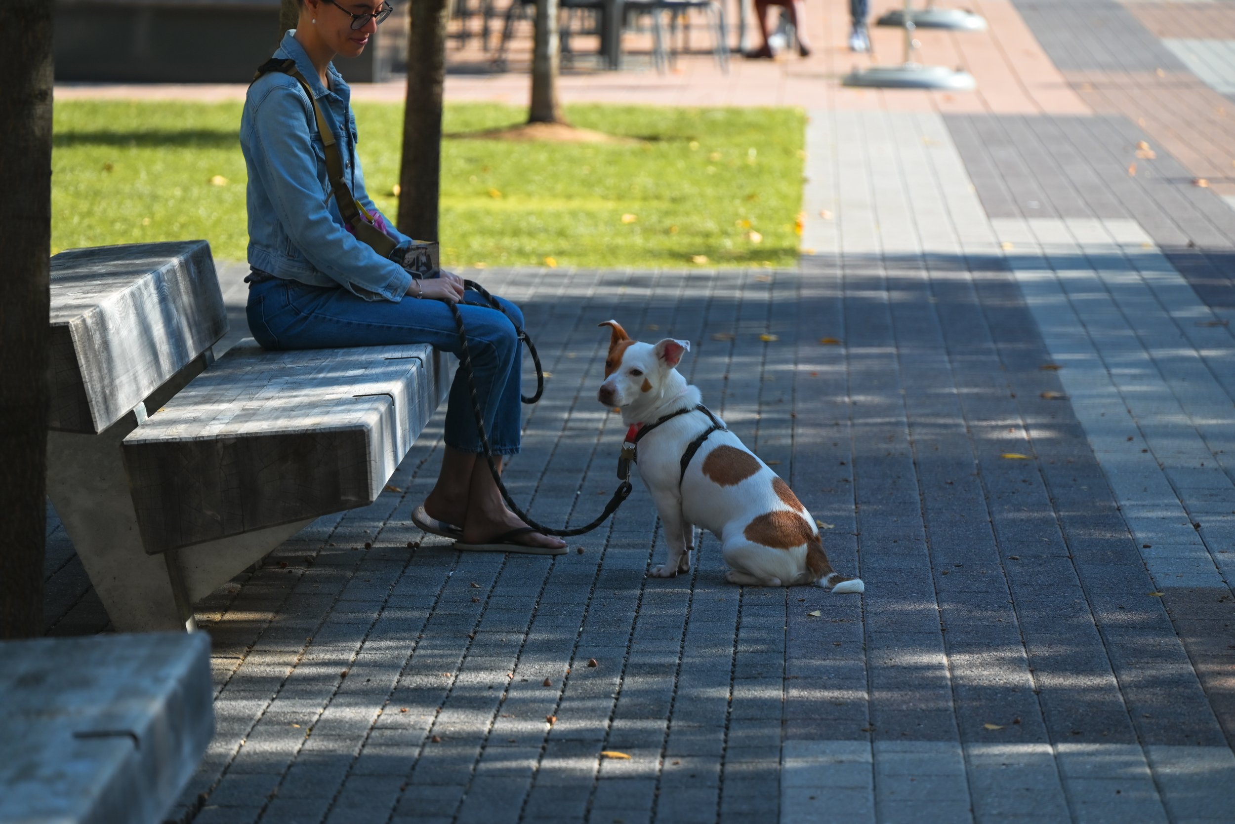 7_DSC_0539.jpg