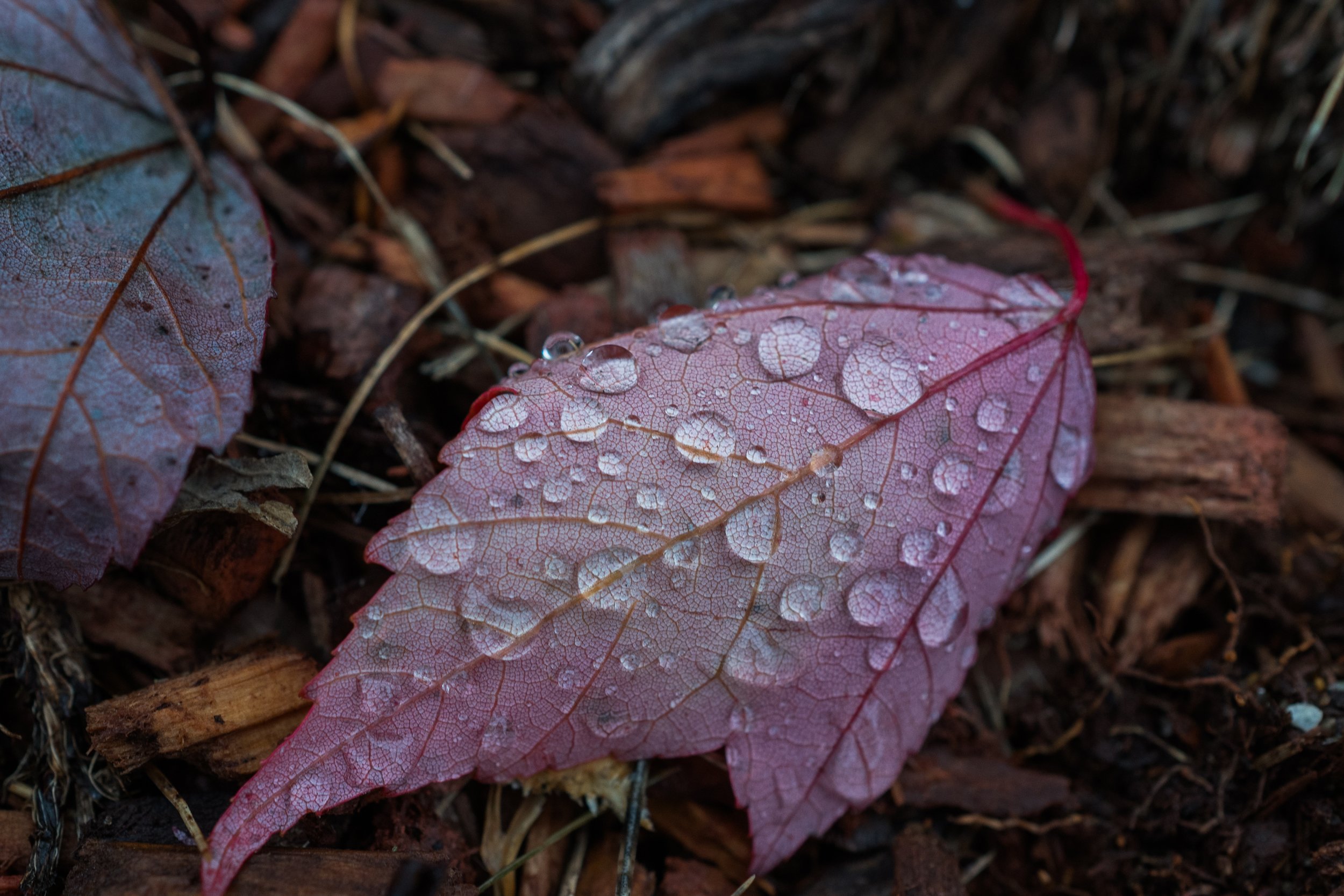 15_DSC_0398.jpg