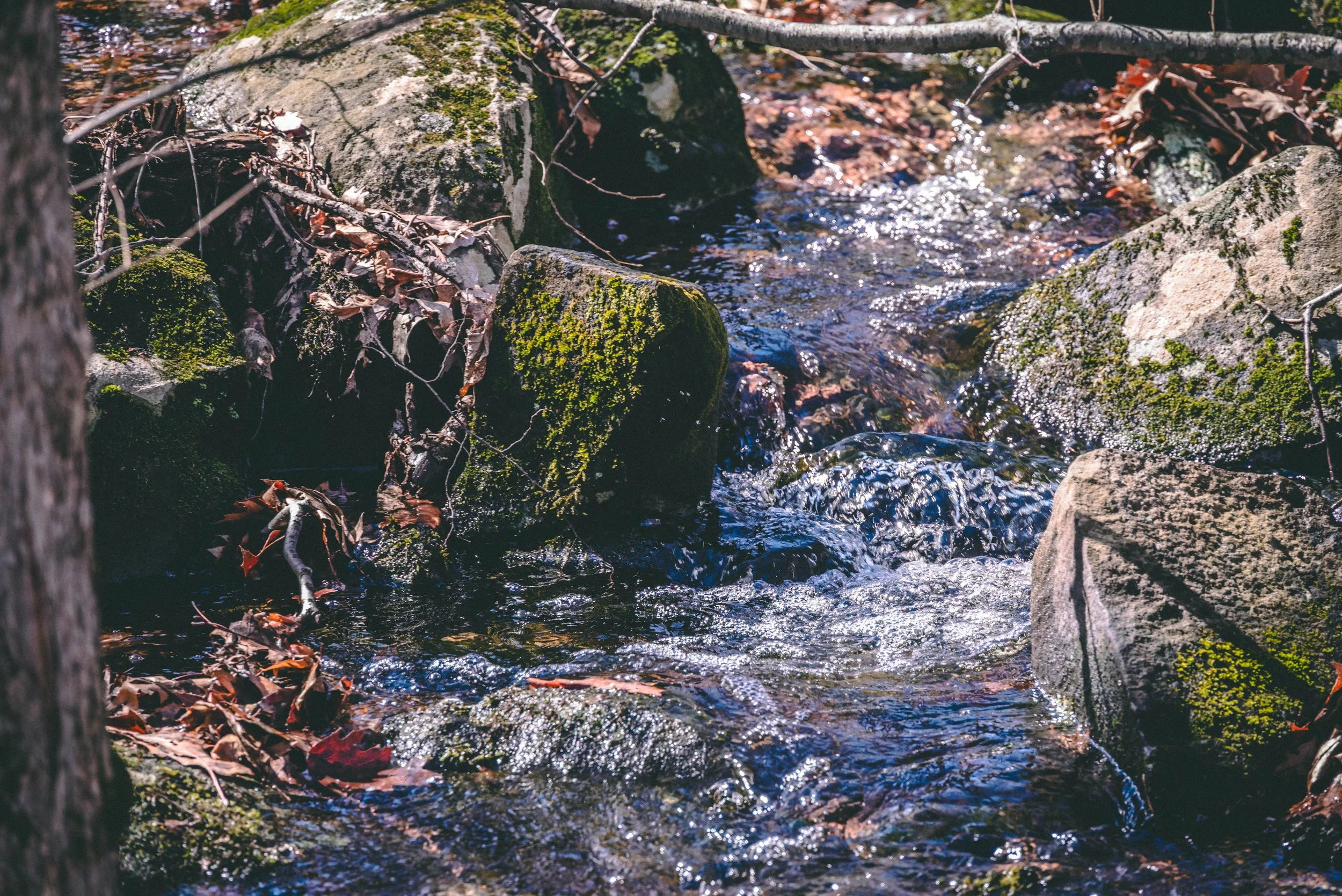 DSC_0164-2.jpg