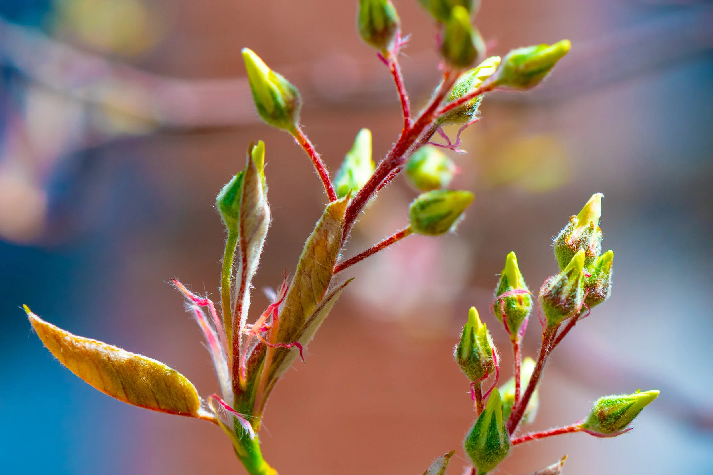 DSC_6940-2.jpg