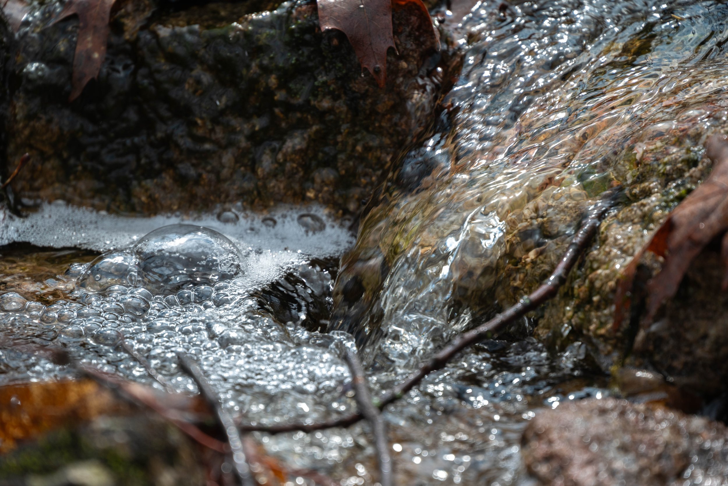 4_DSC_0924-5.jpg