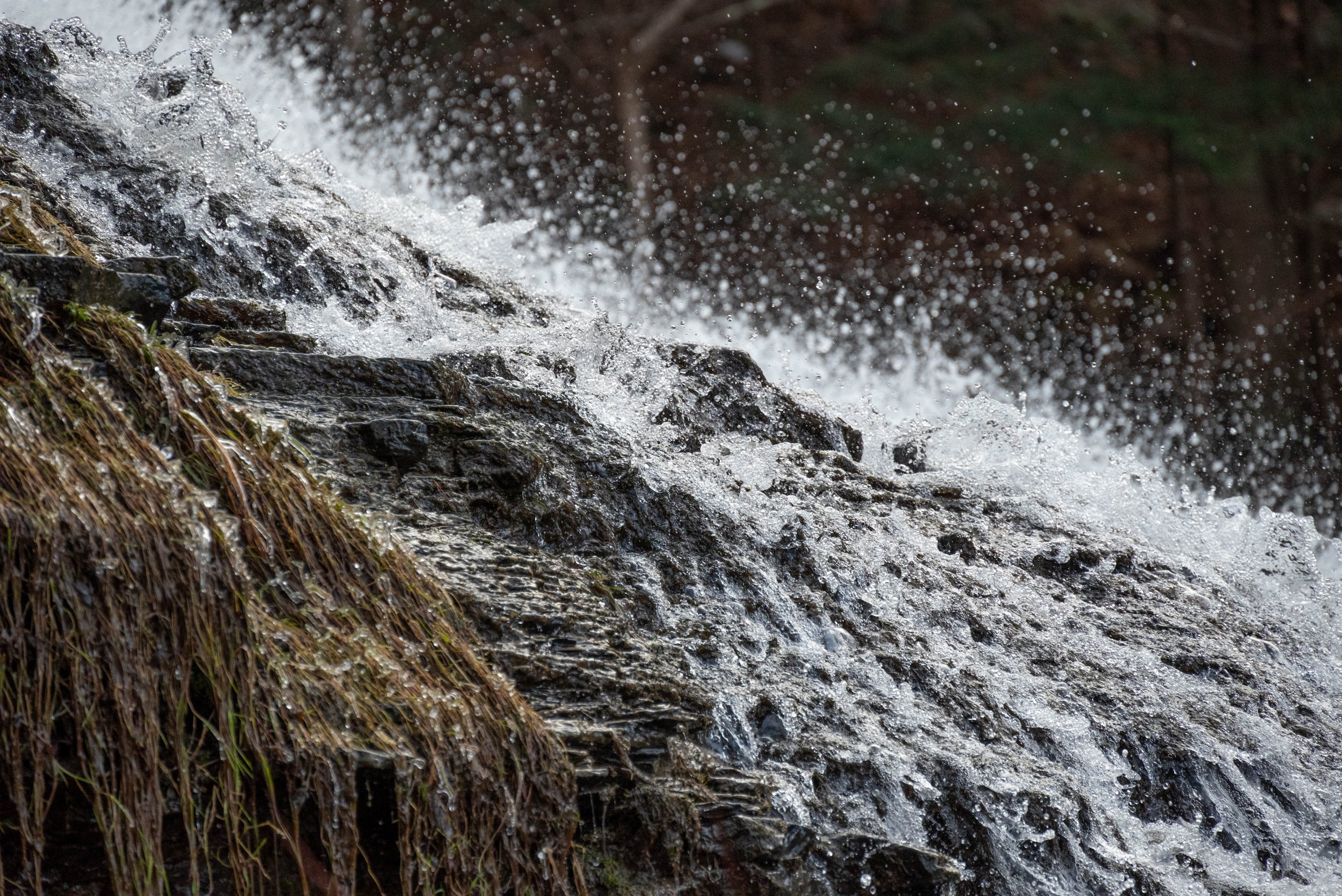 2_DSC_1744-3.jpg