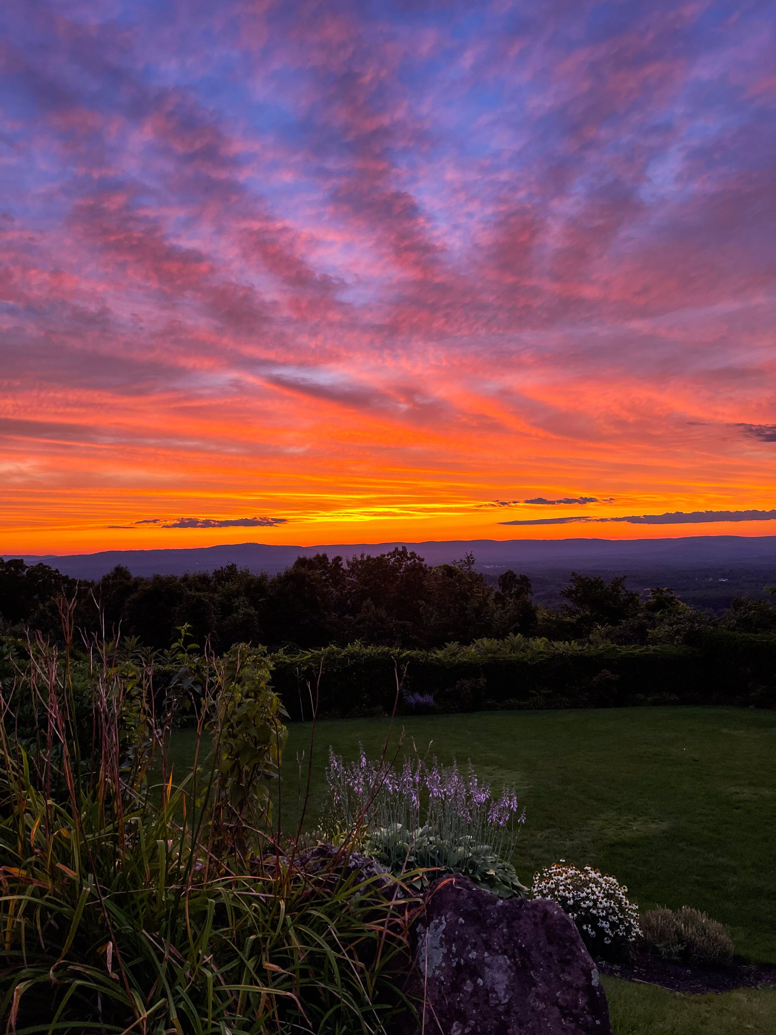 3 sunset image 3.jpg