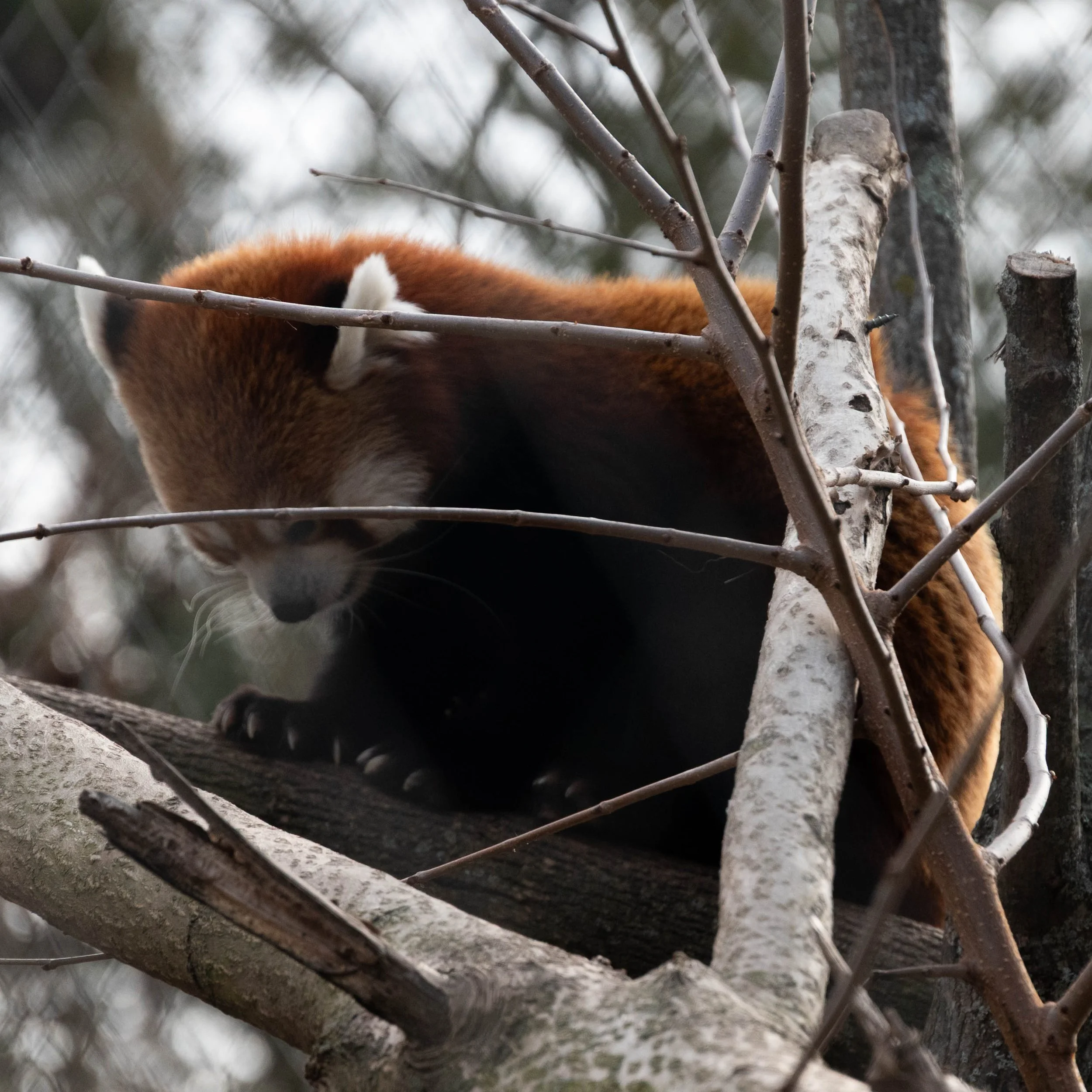 DSC_6195.jpg