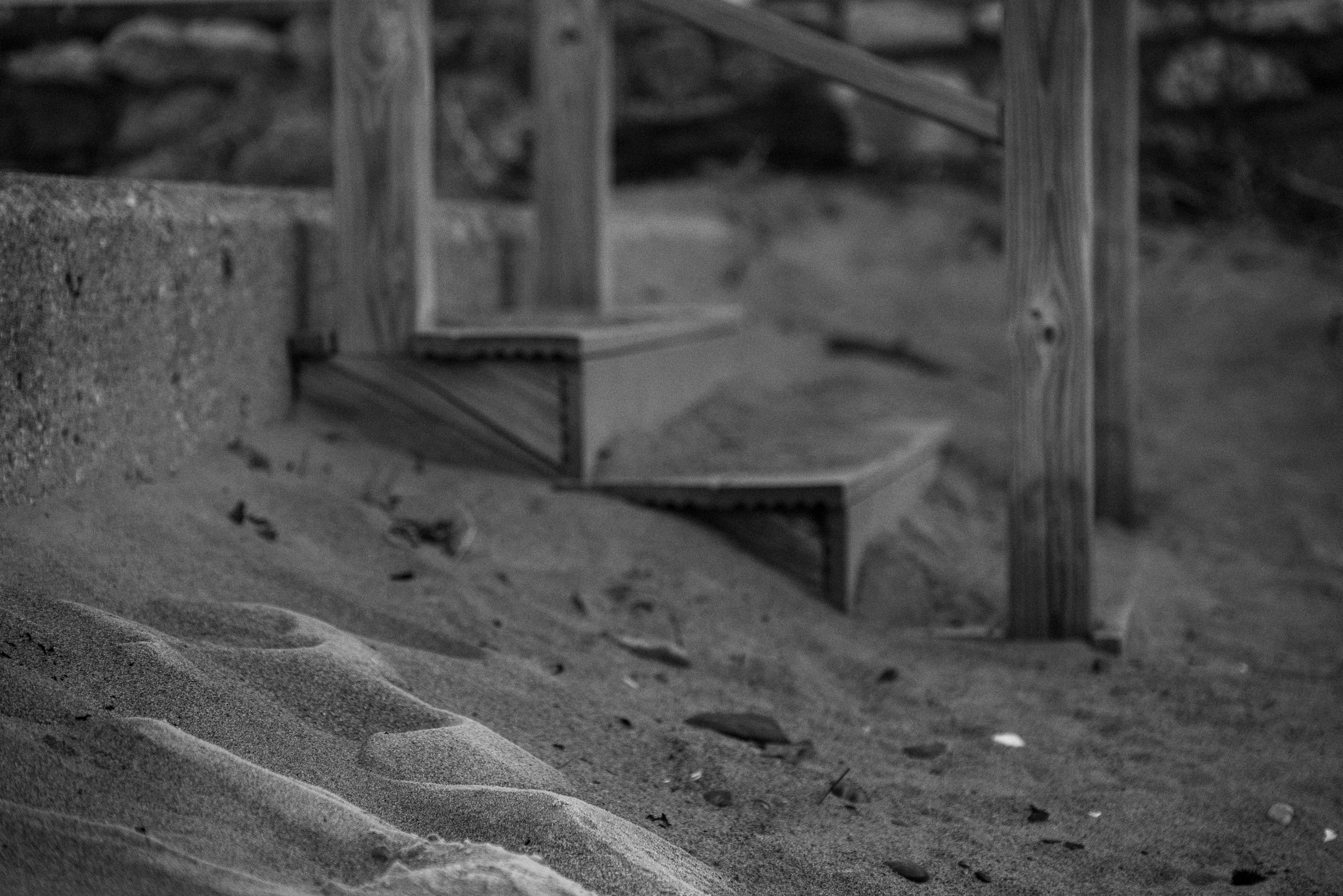 DSC_1873.jpg