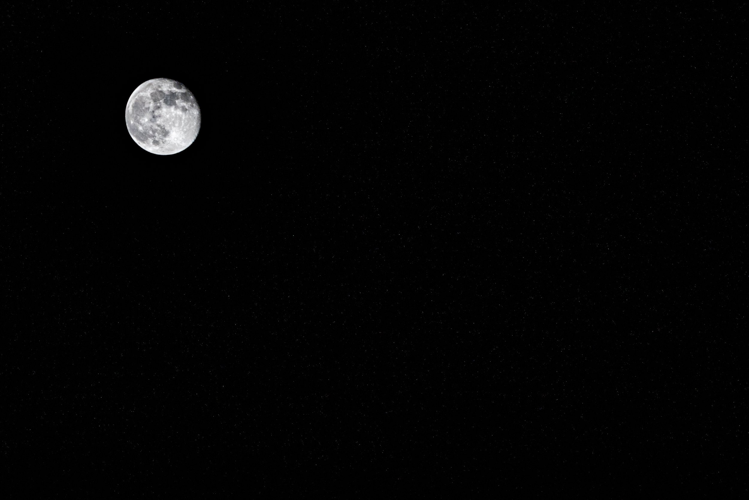 12 DSC_1376.jpg