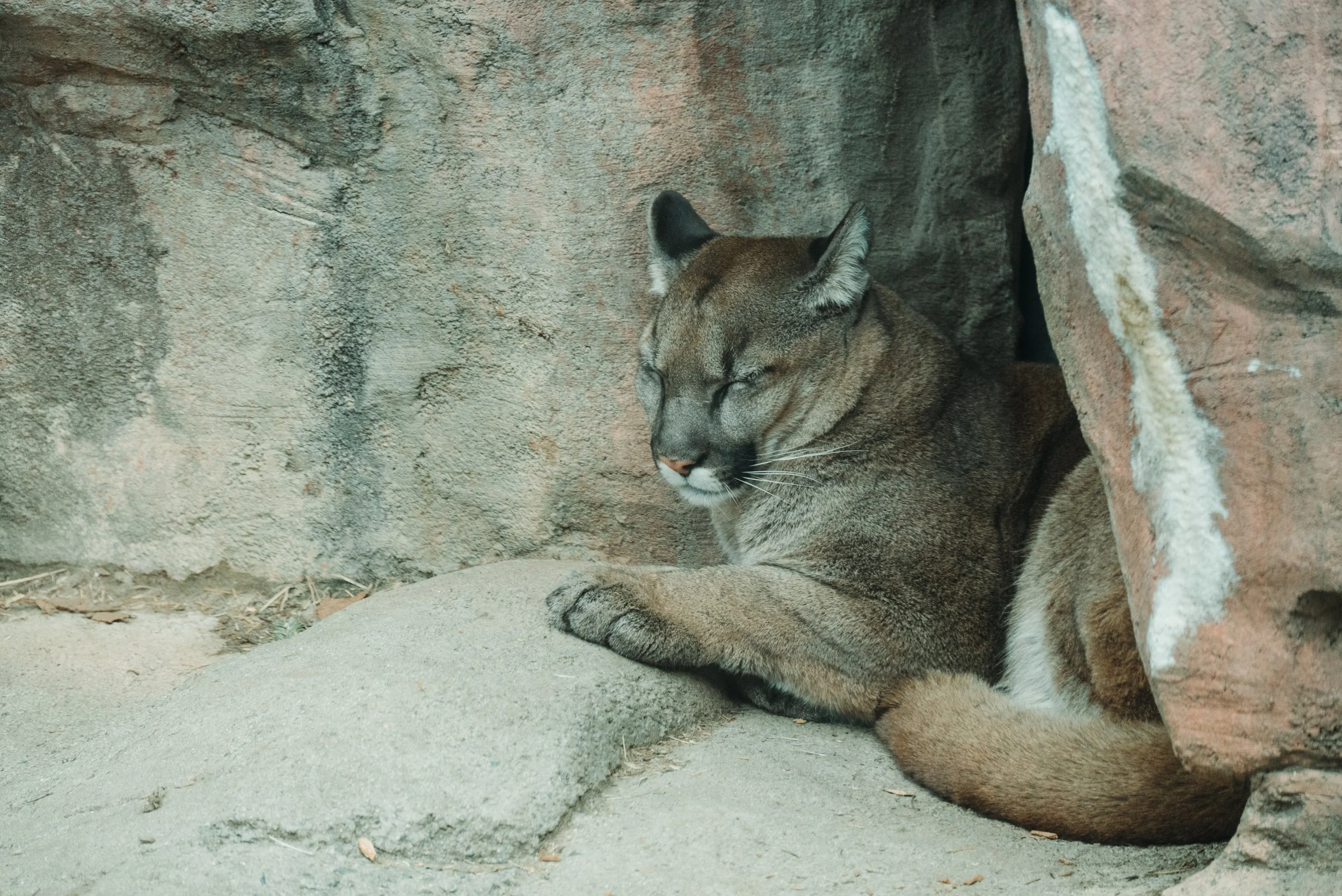 DSC_0451-3.jpg