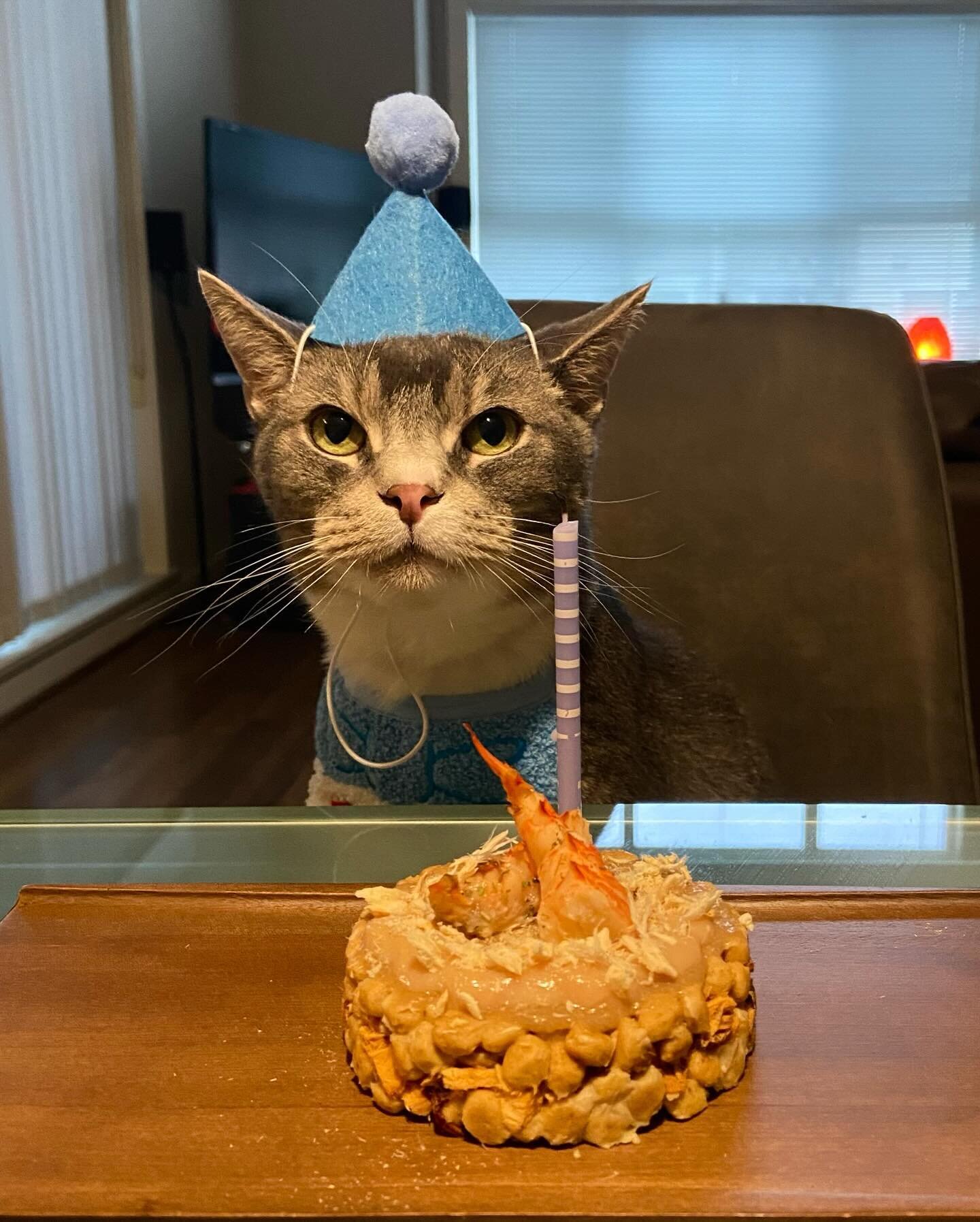 My handsome little man turns 6 tomorrow! 

We celebrated with a three course meal (cat-friendly versions of) - lobster bisque, salmon nigiri, and birthday cake. Meal details can be found in stories/highlights. We&rsquo;ve spent the year experimenting