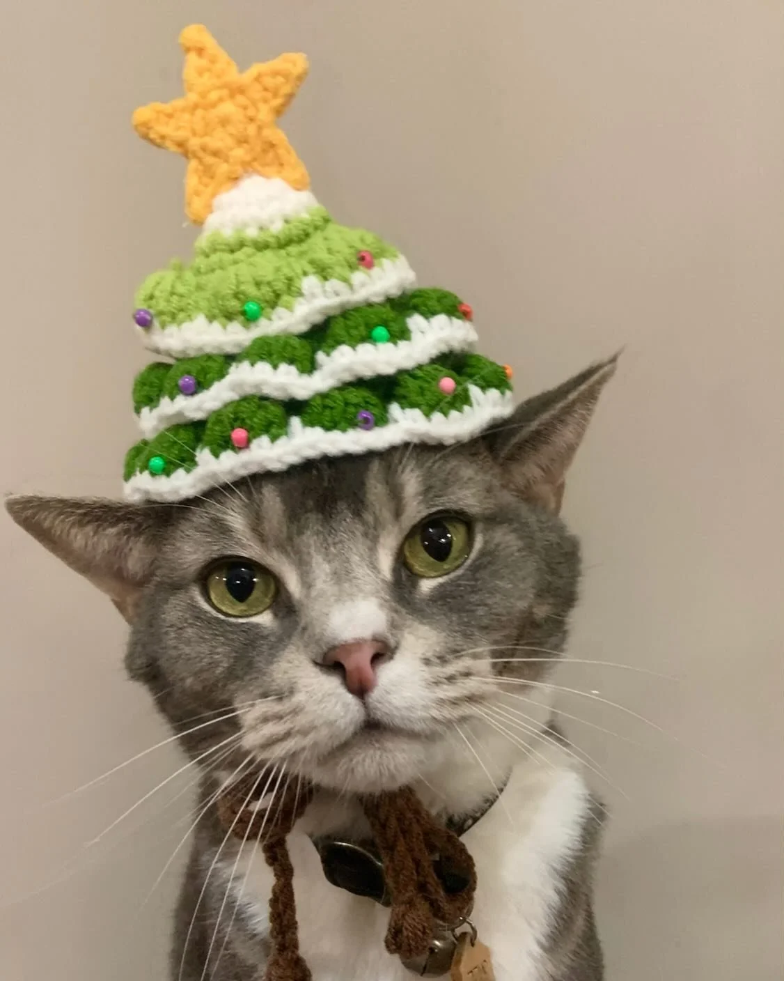 ‧₊˚🎄✩ ₊˚🦌⊹♡