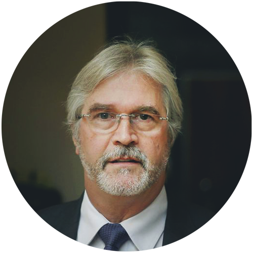 2017 prof. dr. Igor Gregorič 