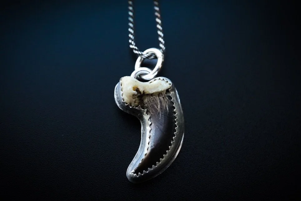 This coyote claw is up for grabs! Pendant only or with the chain included to help make it more accessible. I love making these lil guys. 🖤
.
.
.
.
.
.
.
.
.
.
.
#handmadejewelry #handcraftedjewelry #bonejewelry #coyotejewelry #clawnecklace #clawjewe