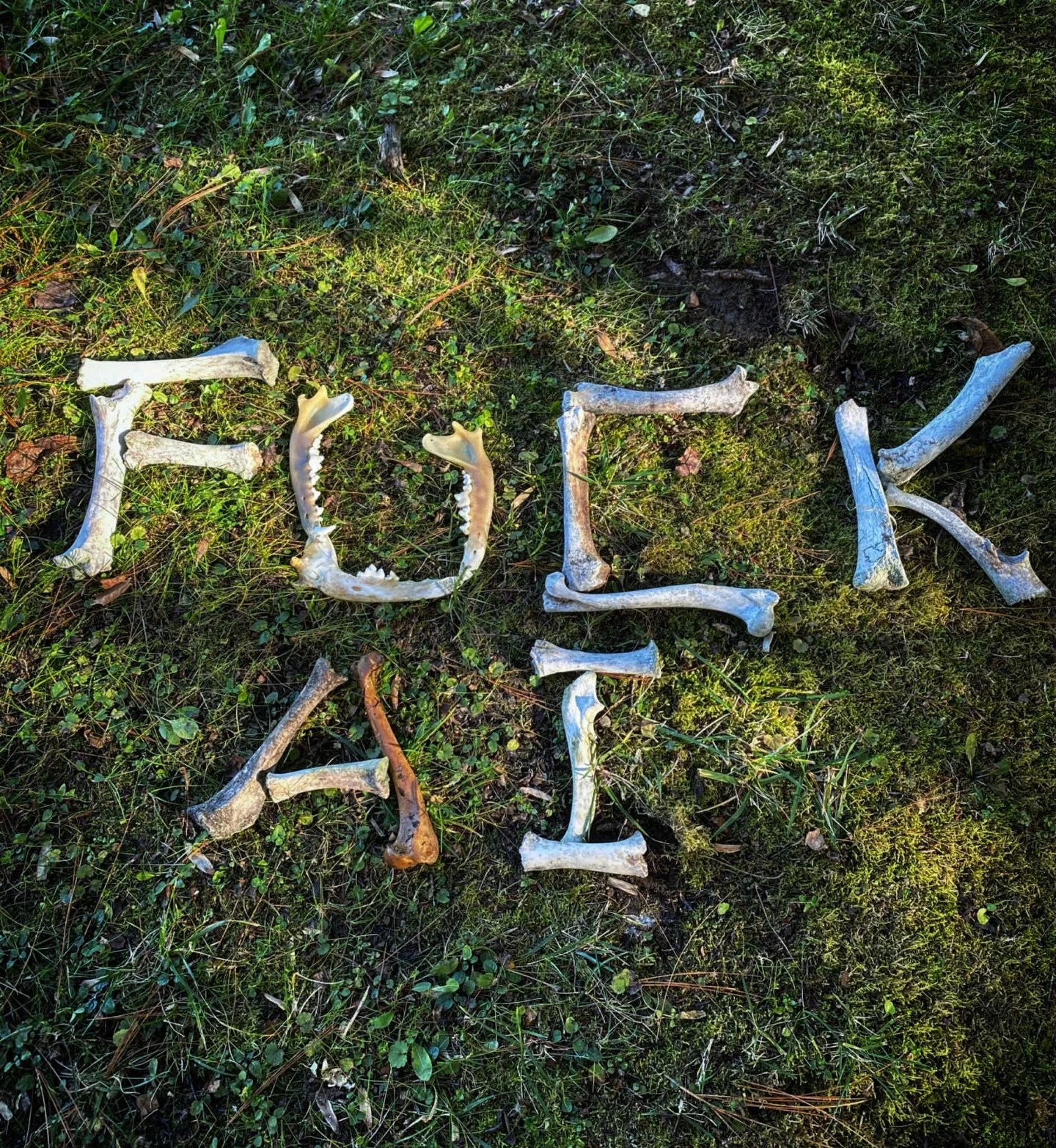 Nuff said 🥰
.
.
.
#fuckai