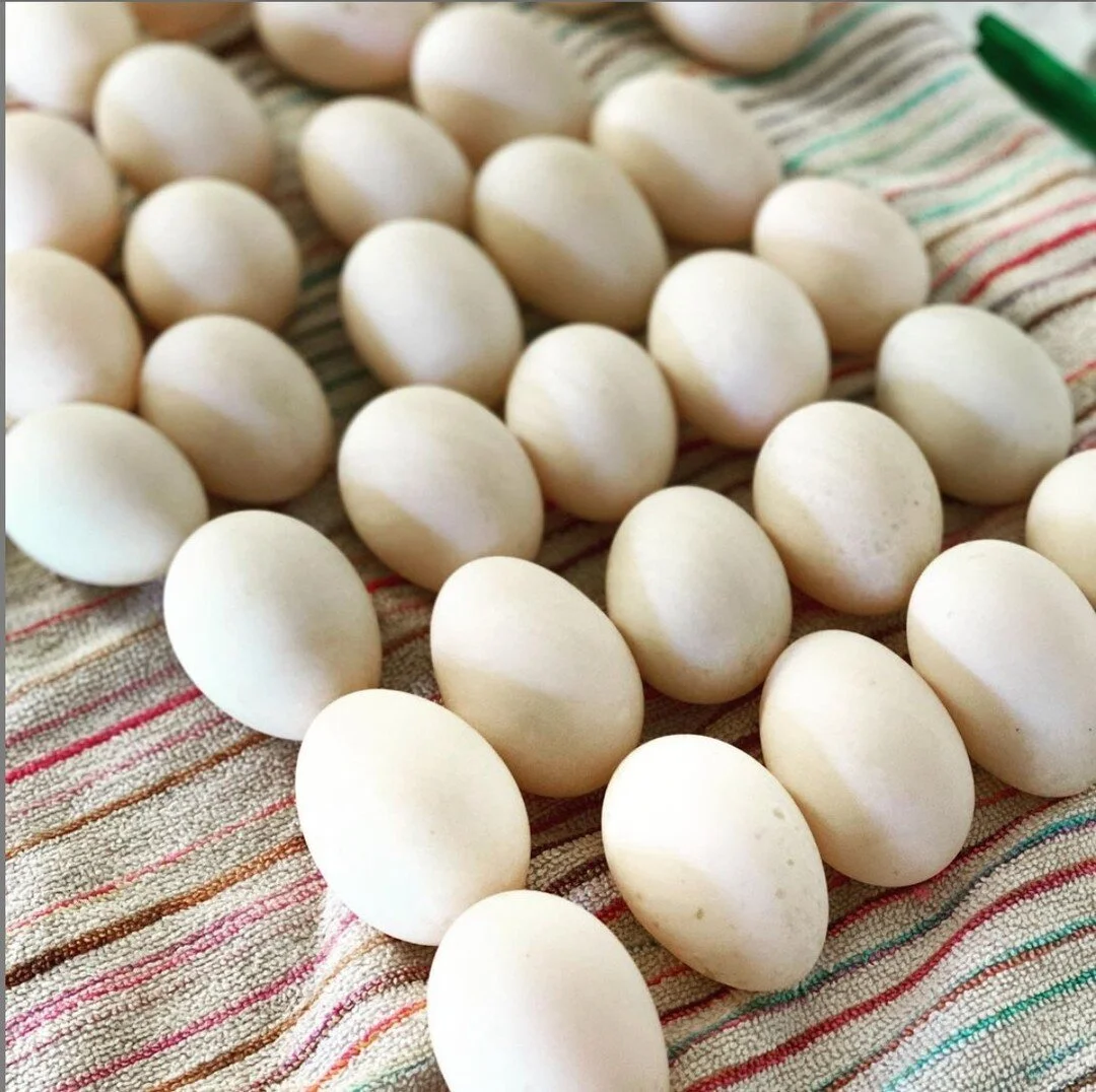 Did you know that duck eggs are actually more nutritious than chicken eggs? ⁠
⁠
Duck eggs are bigger and have twice the amount of iron as chicken eggs. Duck eggs also have more omega-3 fatty acids, while chicken eggs have more omega-6 fatty acids.⁠
⁠