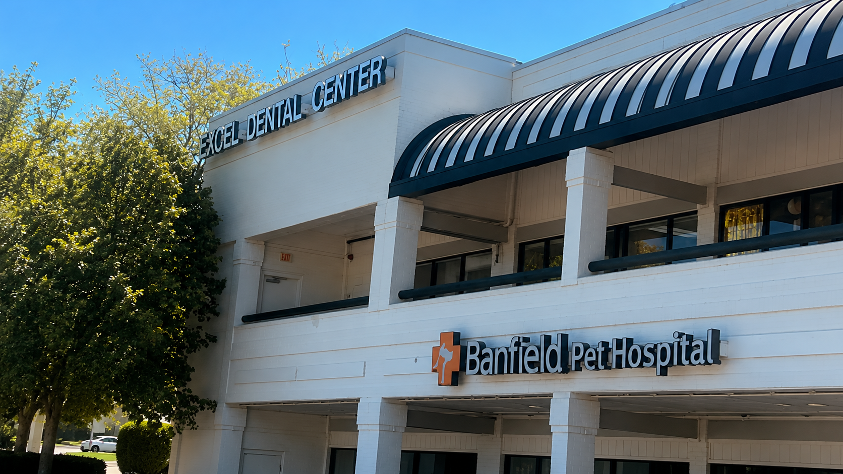 Why did Excel Dental Center 4914 Thoroughbred Ln Brentwood TN-Reconsidered the Patient Experience—From the Front Door Forward?