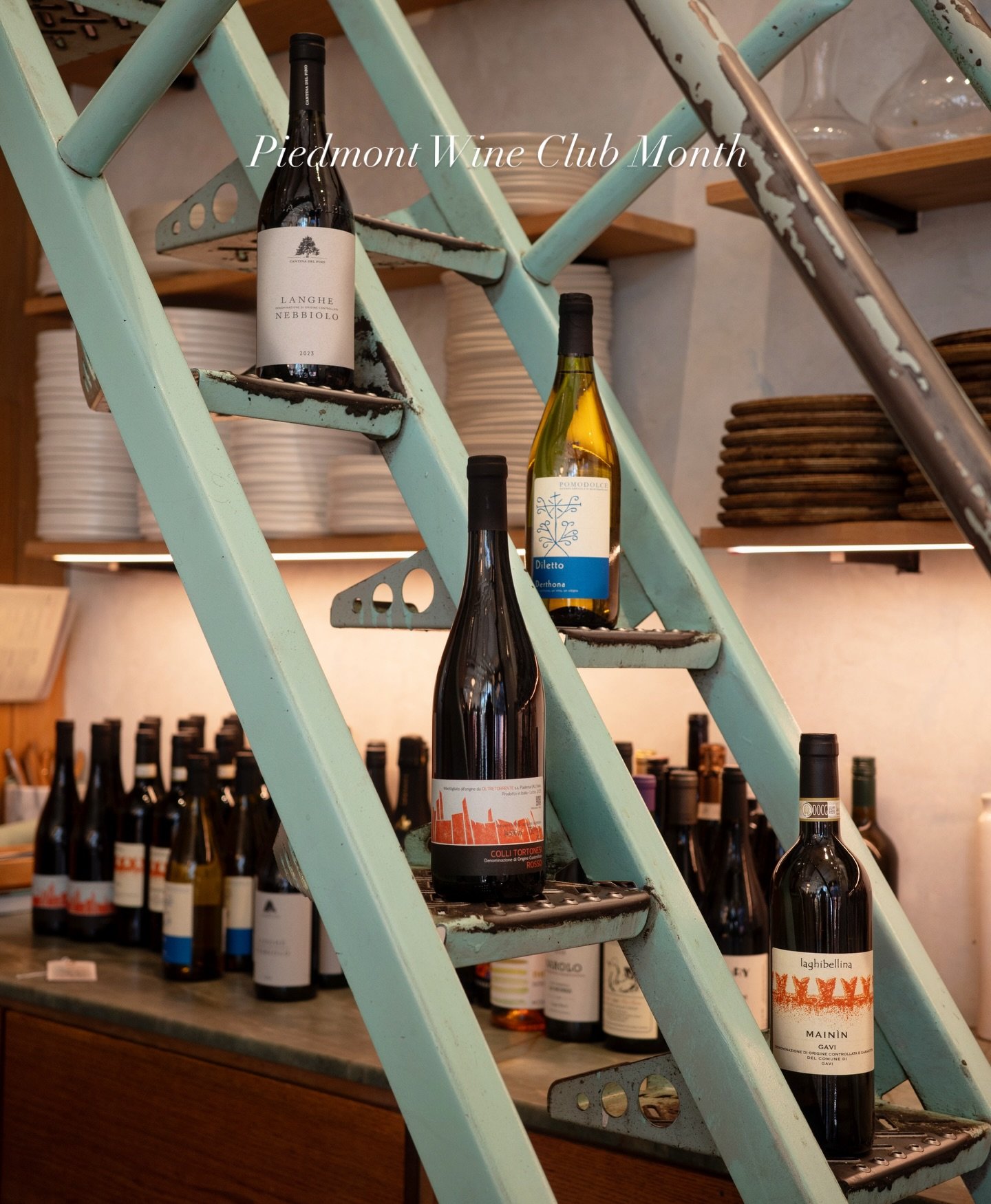 This month&rsquo;s wine club  is heading to Piedmont, in the northwest corner of Italy. Alpine air, rolling hills, and some of the most character driven wines in the world.

Our lineup runs from zippy Gavi to textured Timorasso, lively Colli Tortones