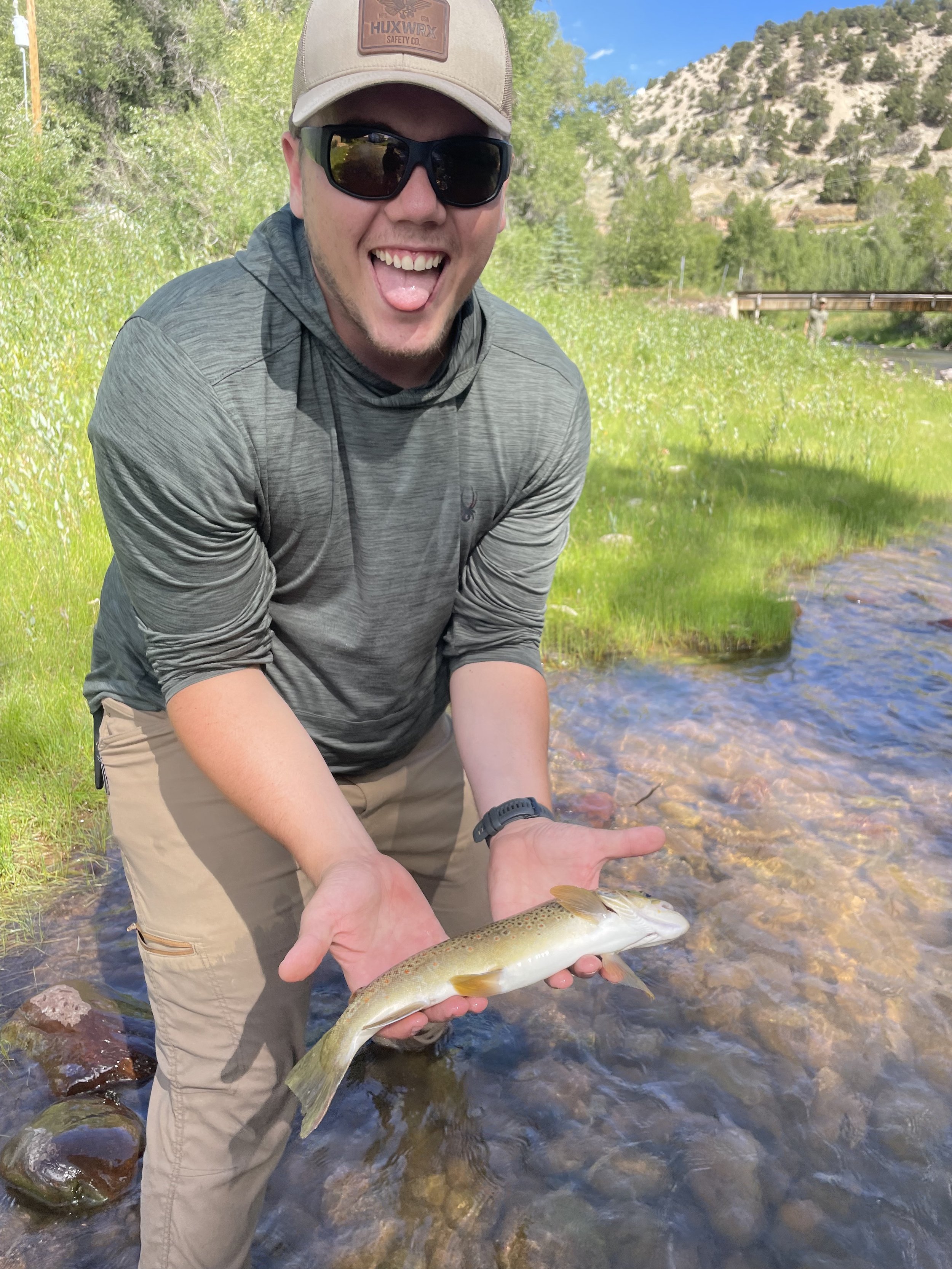 fish123.jpg