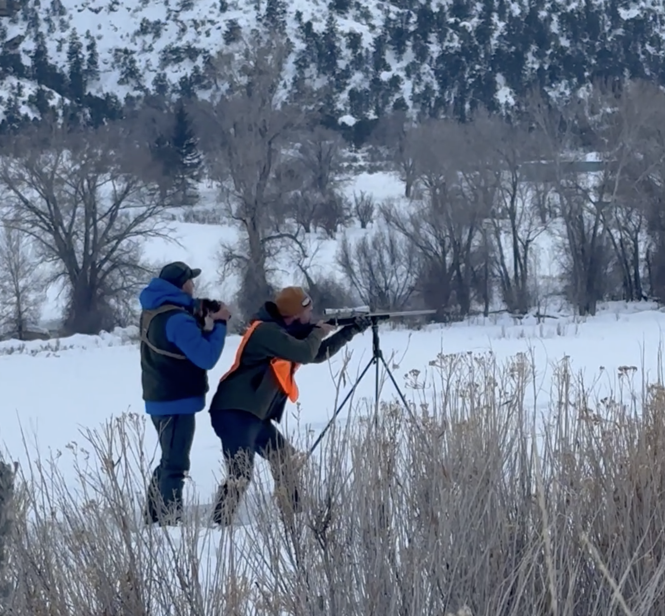 setting up the hunt3.png