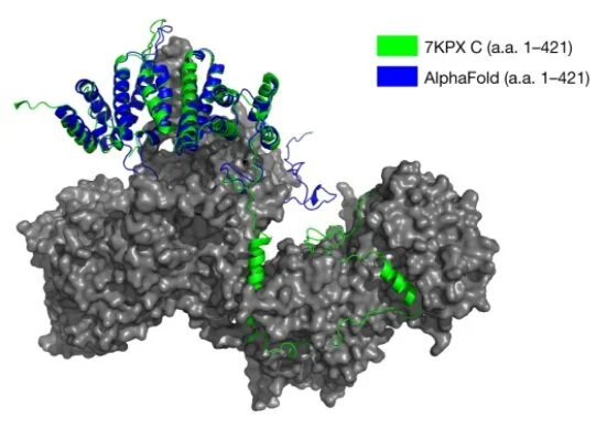 Alpha Fold: Nature Article