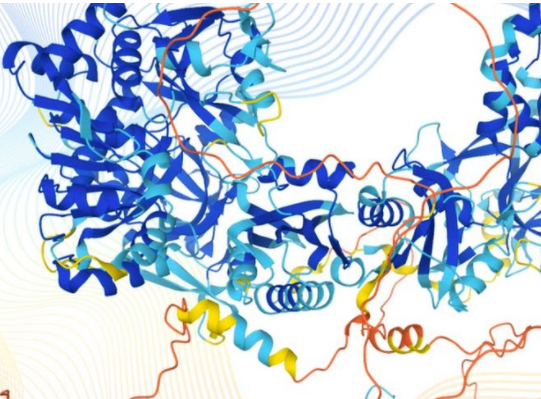 Alpa Fold: BBC Article