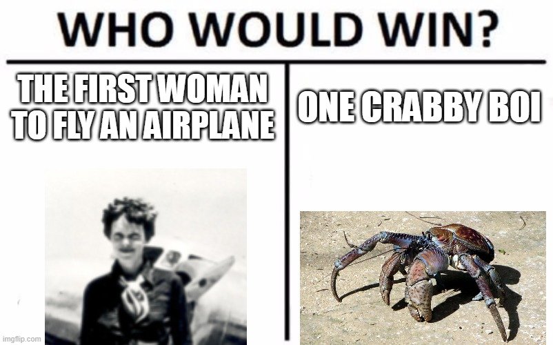 Earhart's Memefication