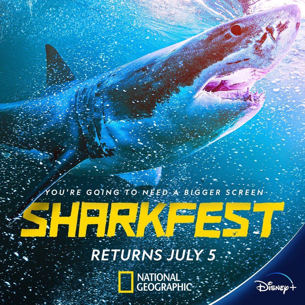 Sharkfest