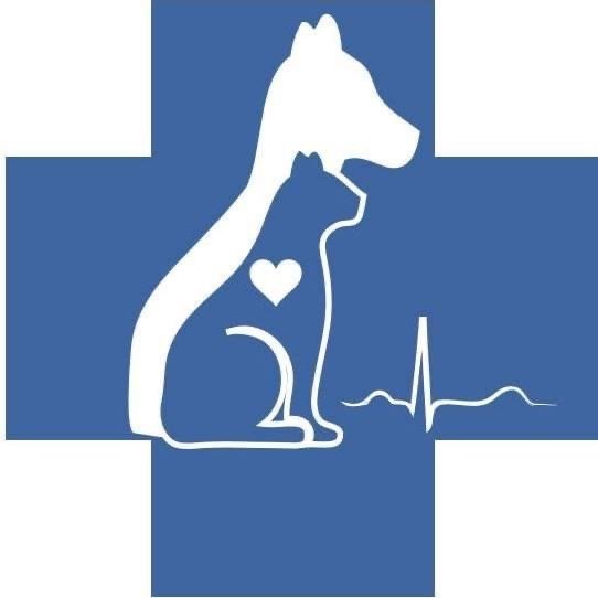 Blog 2 — Peacefulpasture