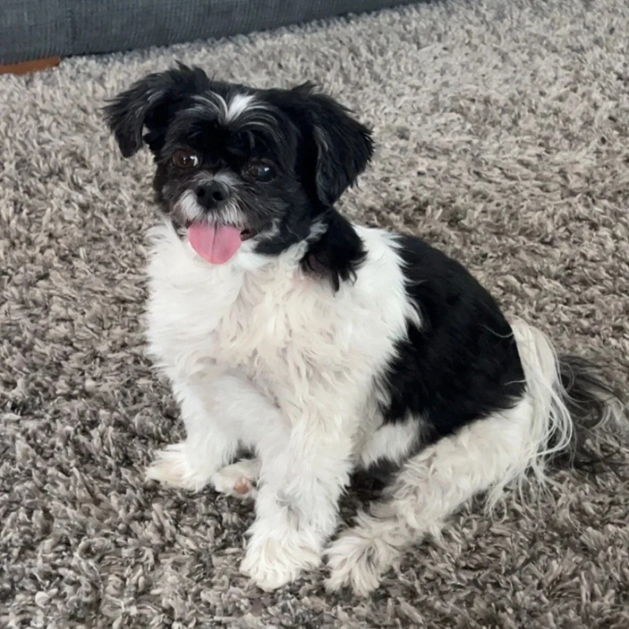 Chloe