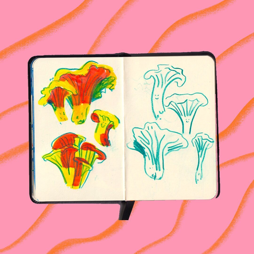 The most beautiful shade of yellow chanterelle mushrooms, and other delicious fun guys 🍄 

#fungi #illustration #sketchbook #grzyby #ilustracja