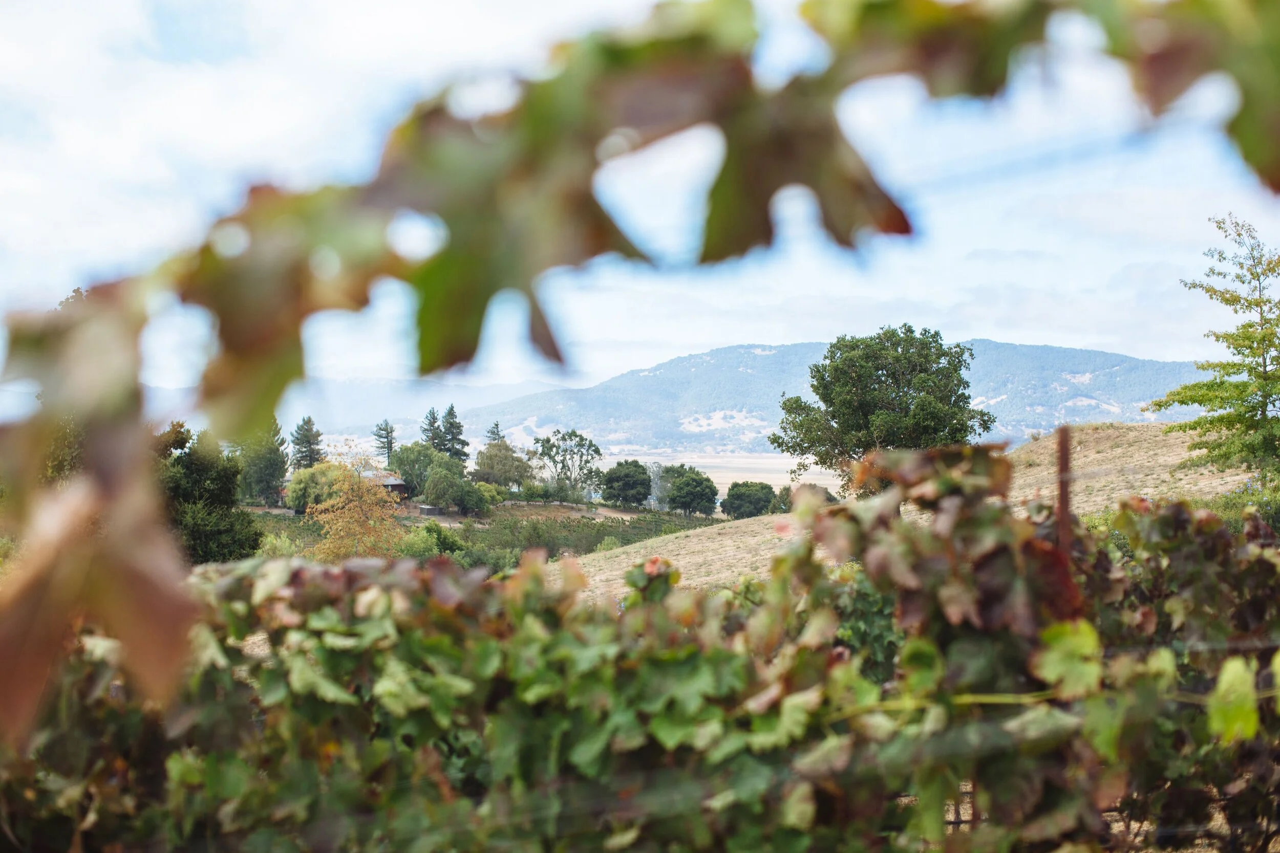 Petaluma Climate Action Commission